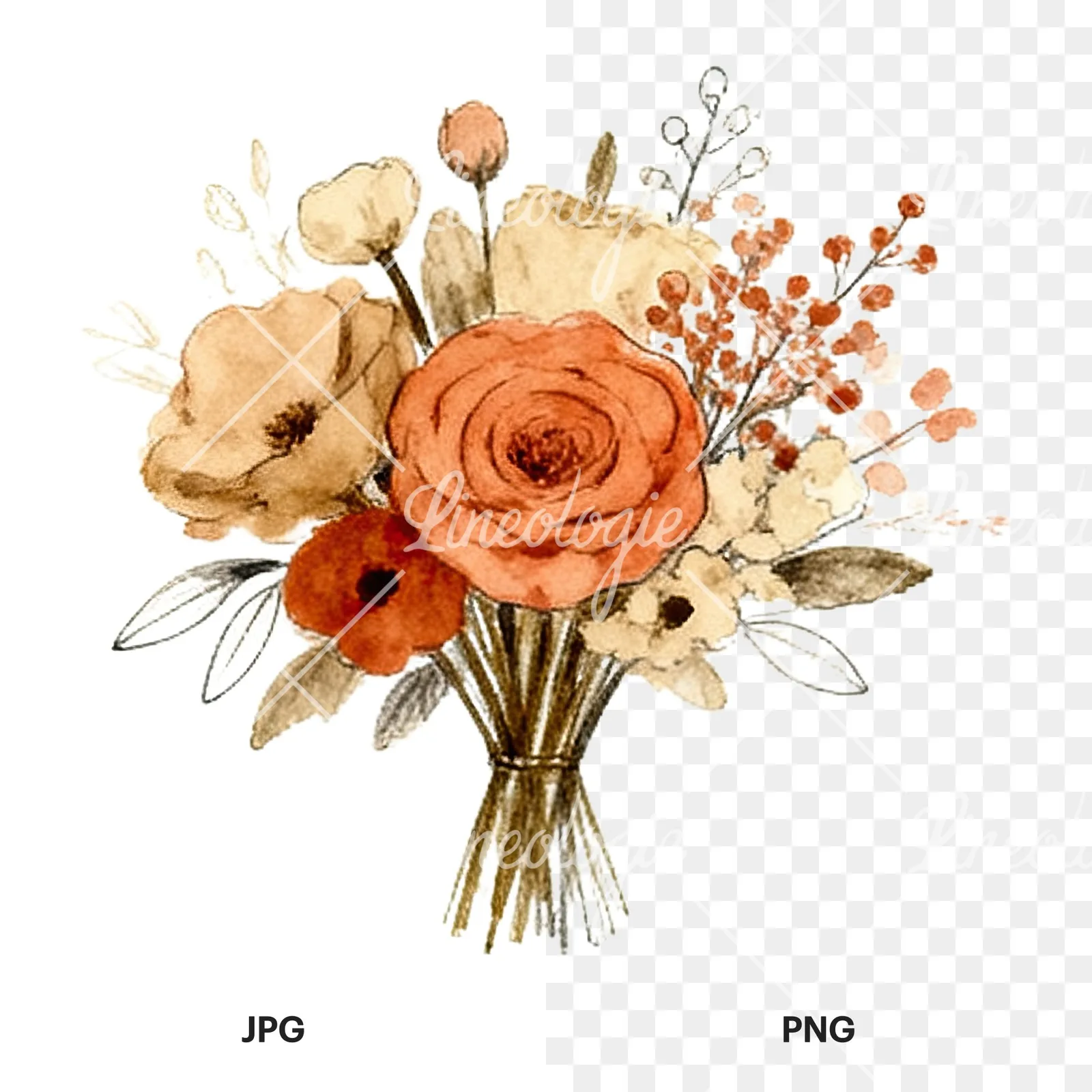 Watercolor terracotta and cream wedding bouquet clipart 5 of 12, as a JPG on white and a transparent PNG