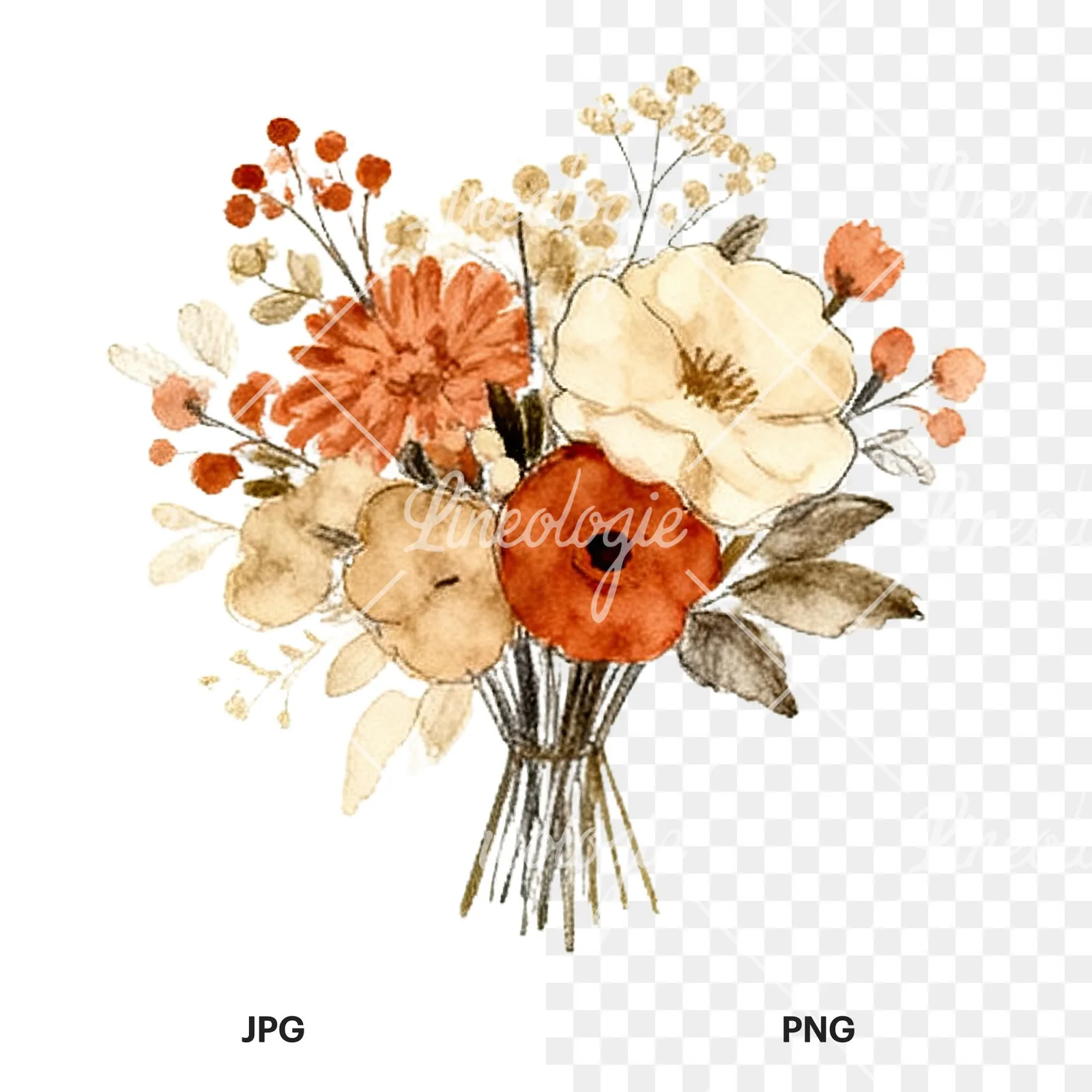 Watercolor terracotta and cream wedding bouquet clipart 7 of 12, as a JPG on white and a transparent PNG