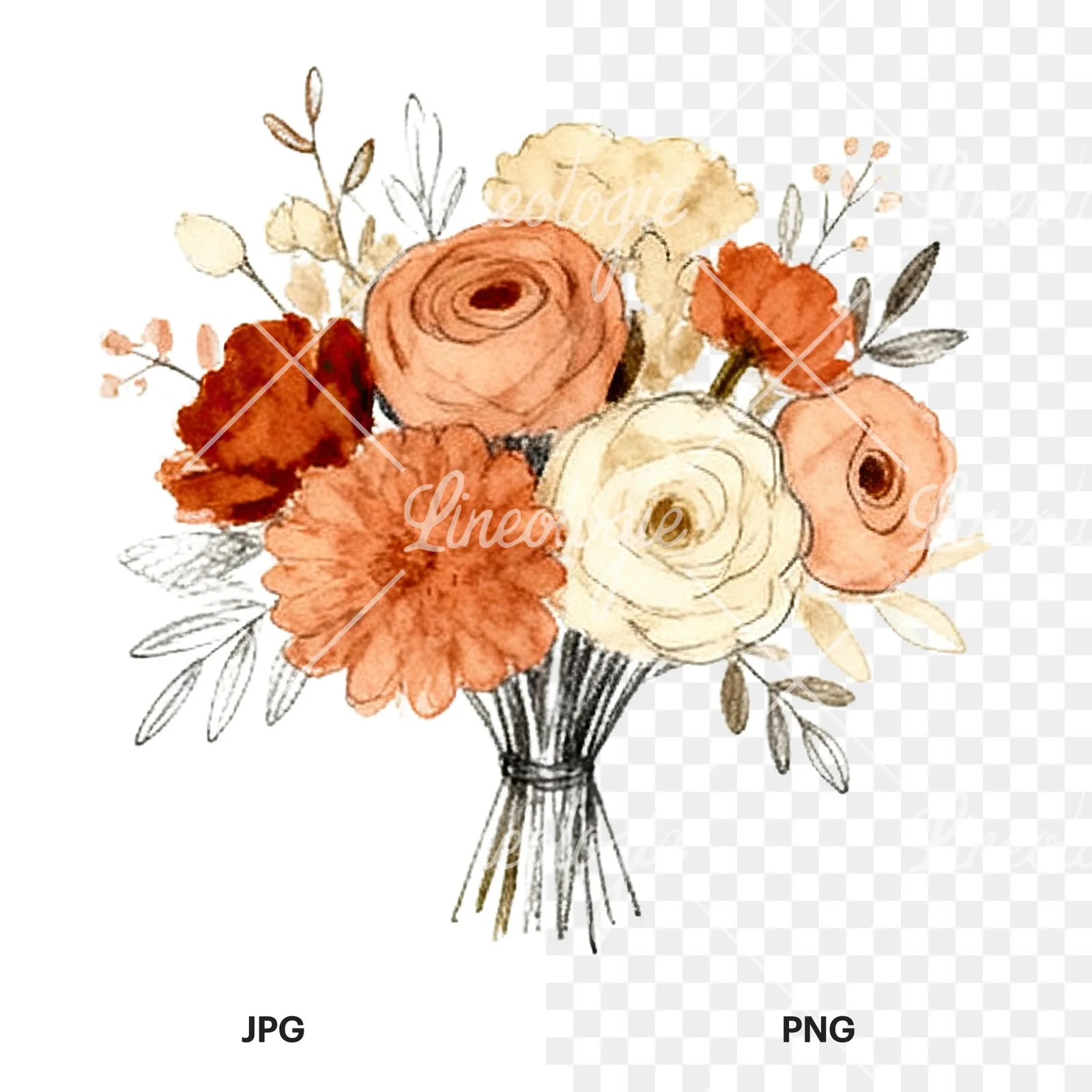 Watercolor terracotta and cream wedding bouquet clipart 8 of 12, as a JPG on white and a transparent PNG