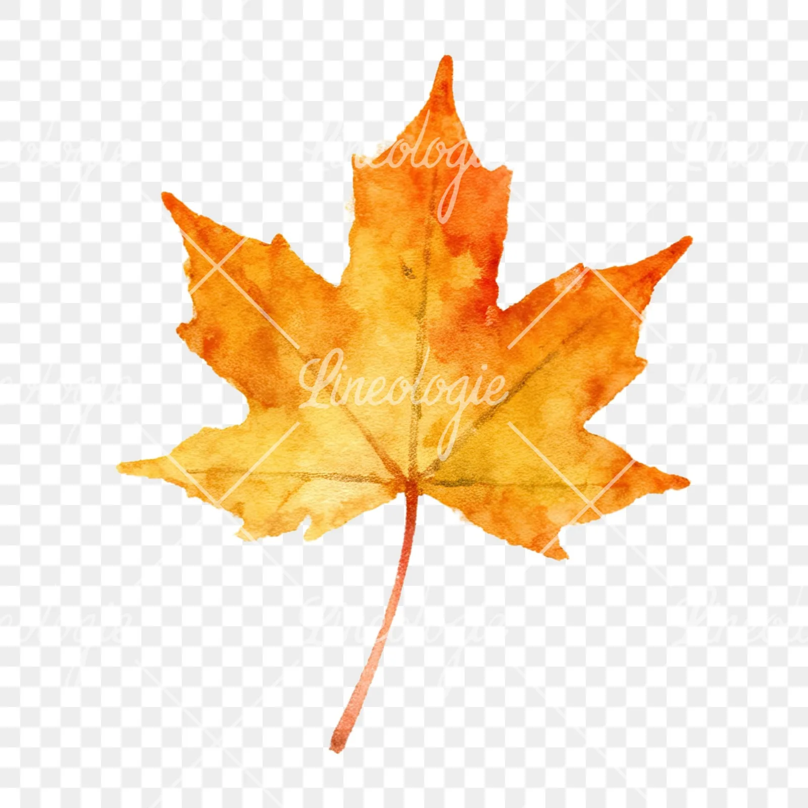 Watercolor autumn leaves orange brown red clipart 6 of 16 on a transparent background (PNG)