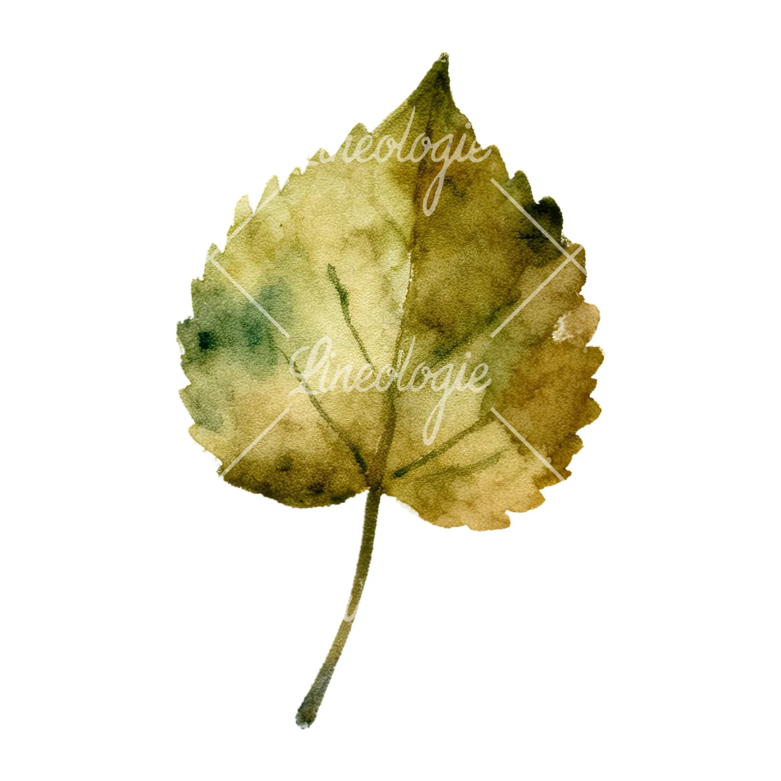 Watercolor autumn leaves orange brown red clipart 8 of 16 on a white background (JPG)