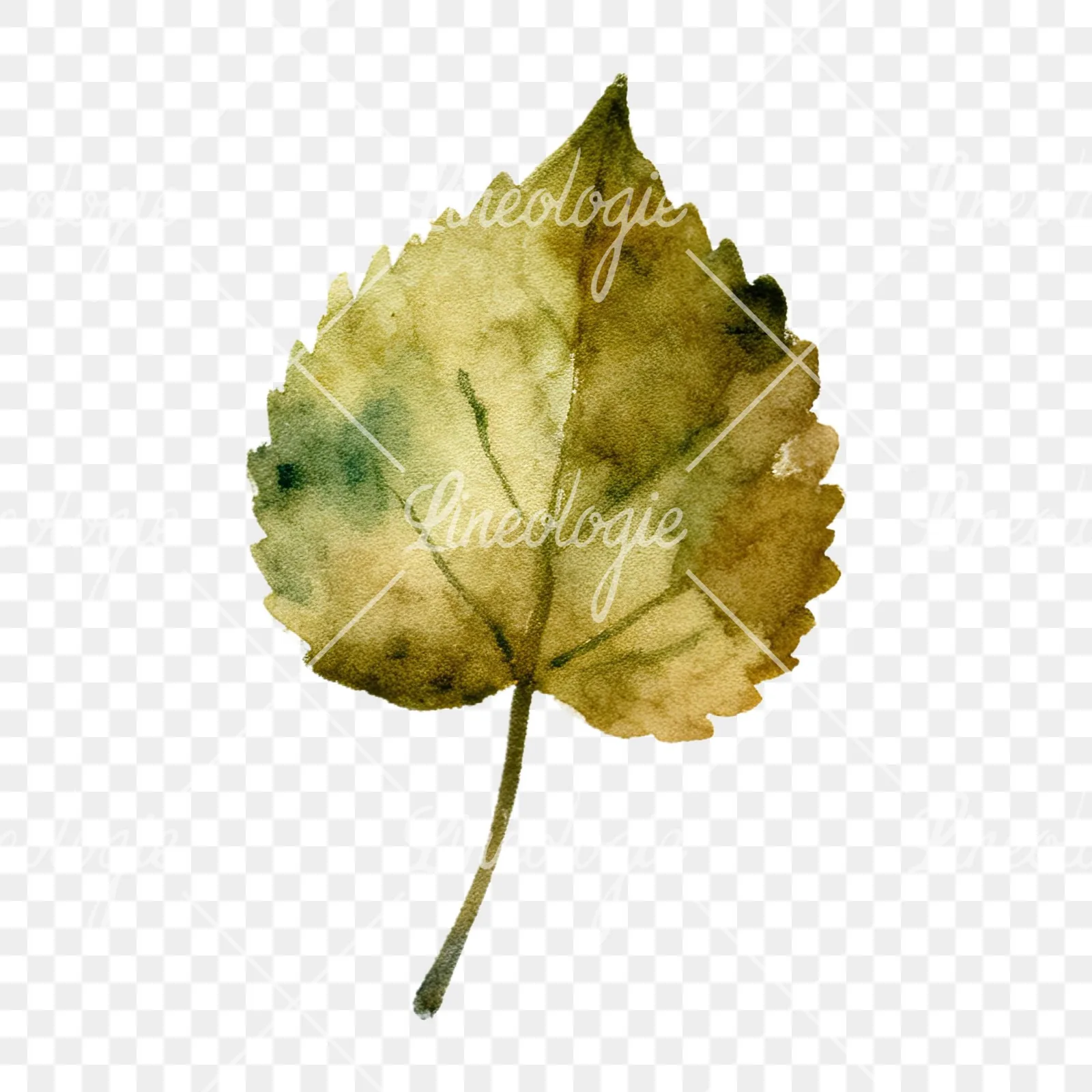 Watercolor autumn leaves orange brown red clipart 8 of 16 on a transparent background (PNG)