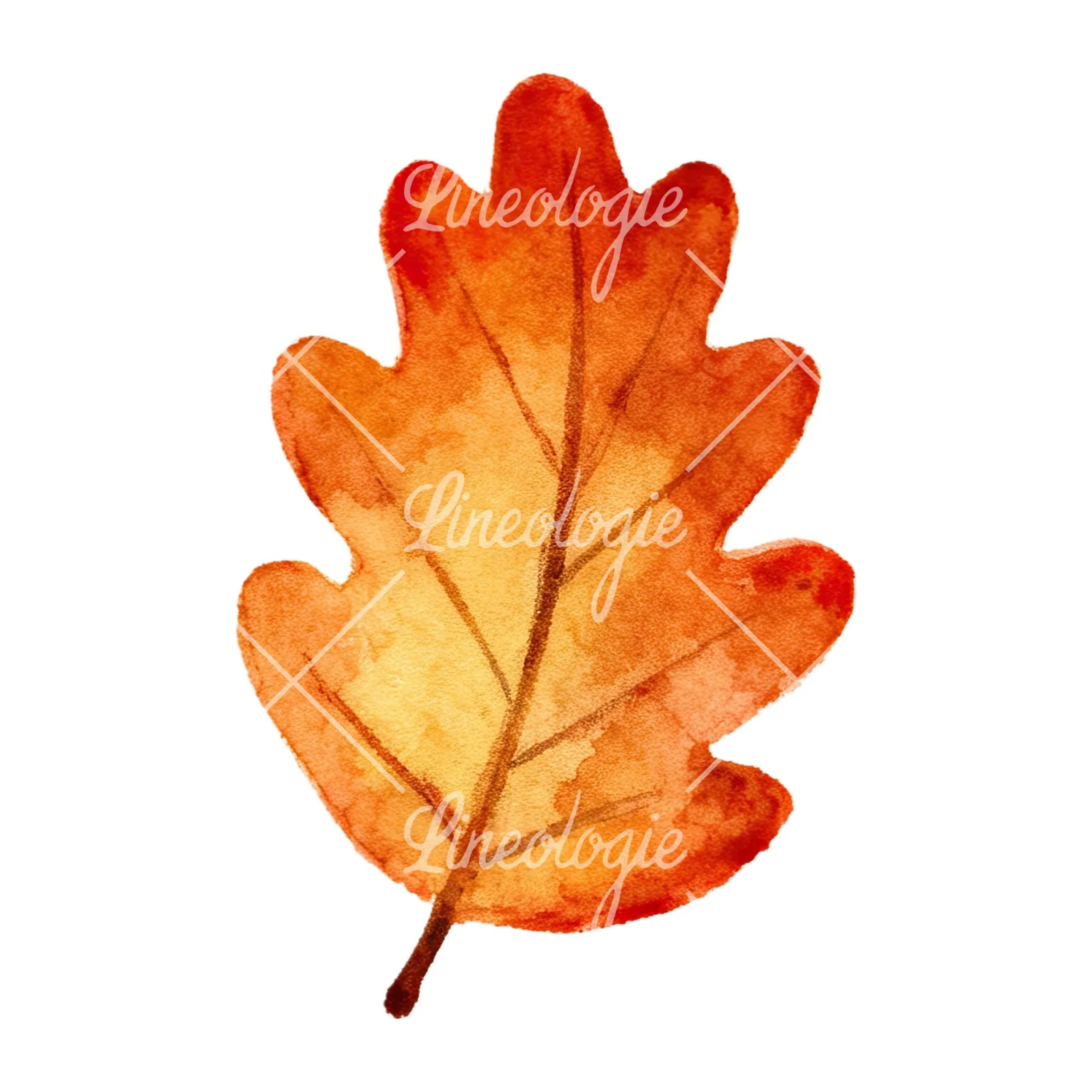 Watercolor autumn leaves orange brown red clipart 12 of 16 on a white background (JPG)