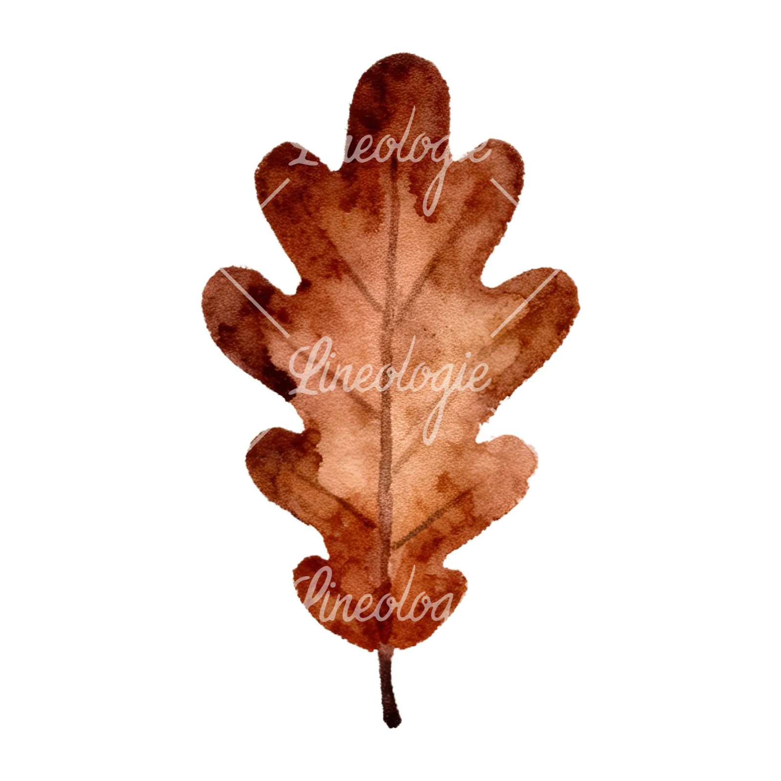 Watercolor autumn leaves orange brown red clipart 14 of 16 on a white background (JPG)