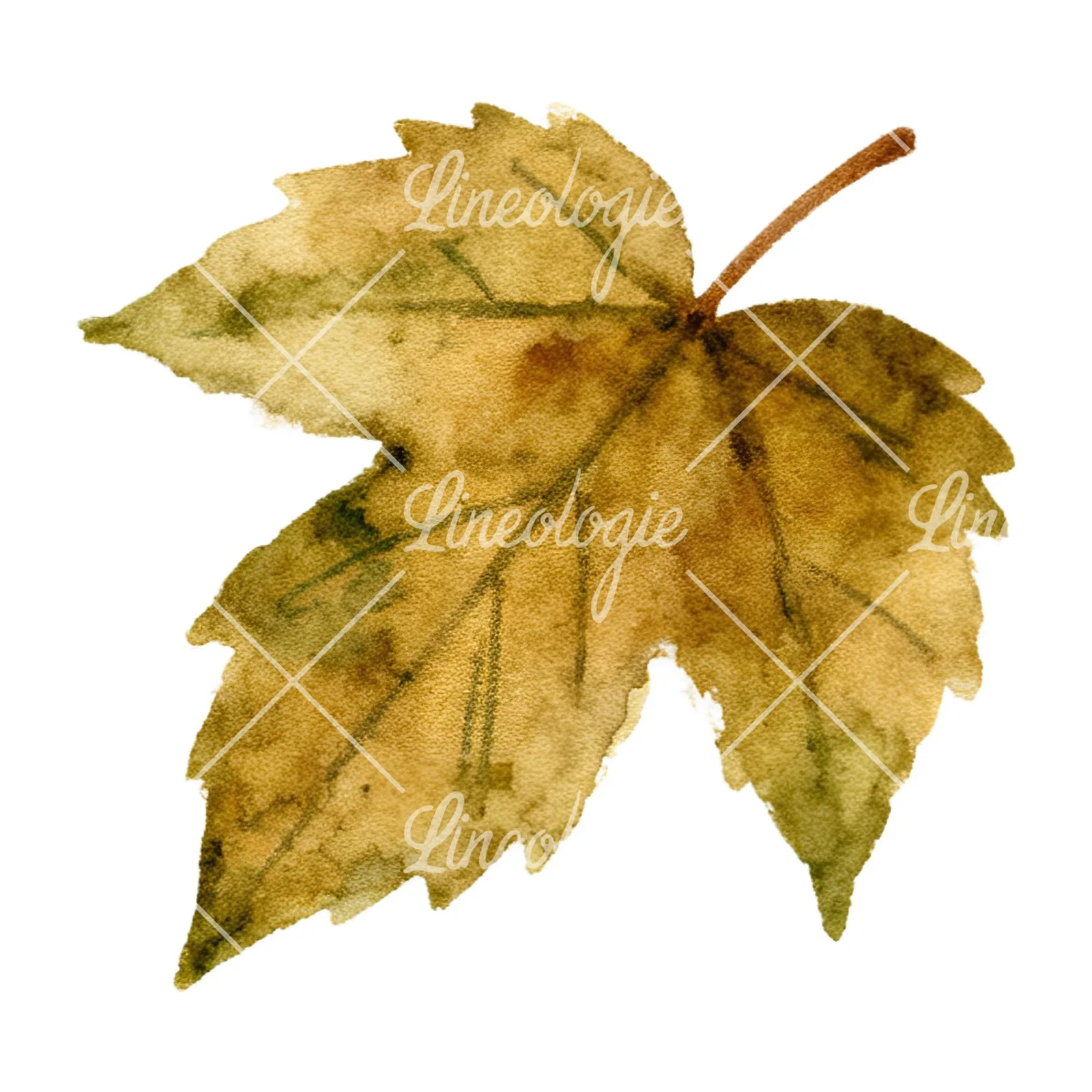 Watercolor autumn leaves orange brown red clipart 15 of 16 on a white background (JPG)