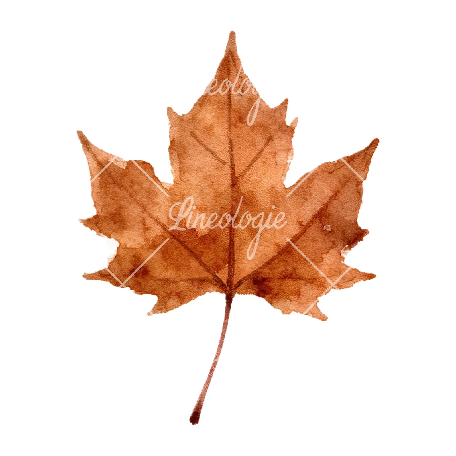 Watercolor autumn leaves orange brown red clipart 16 of 16 on a white background (JPG)