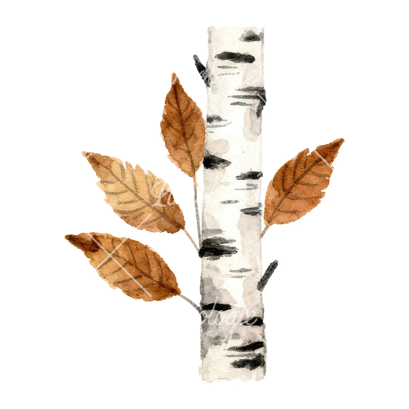 Watercolor brown autumn leaves acorn clipart 14 of 16 on a white background (JPG)