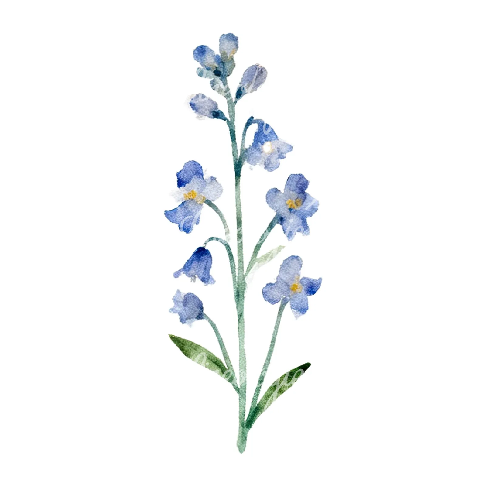 Watercolor summer meadow flower with clover clipart 10 of 16 on a white background (JPG)