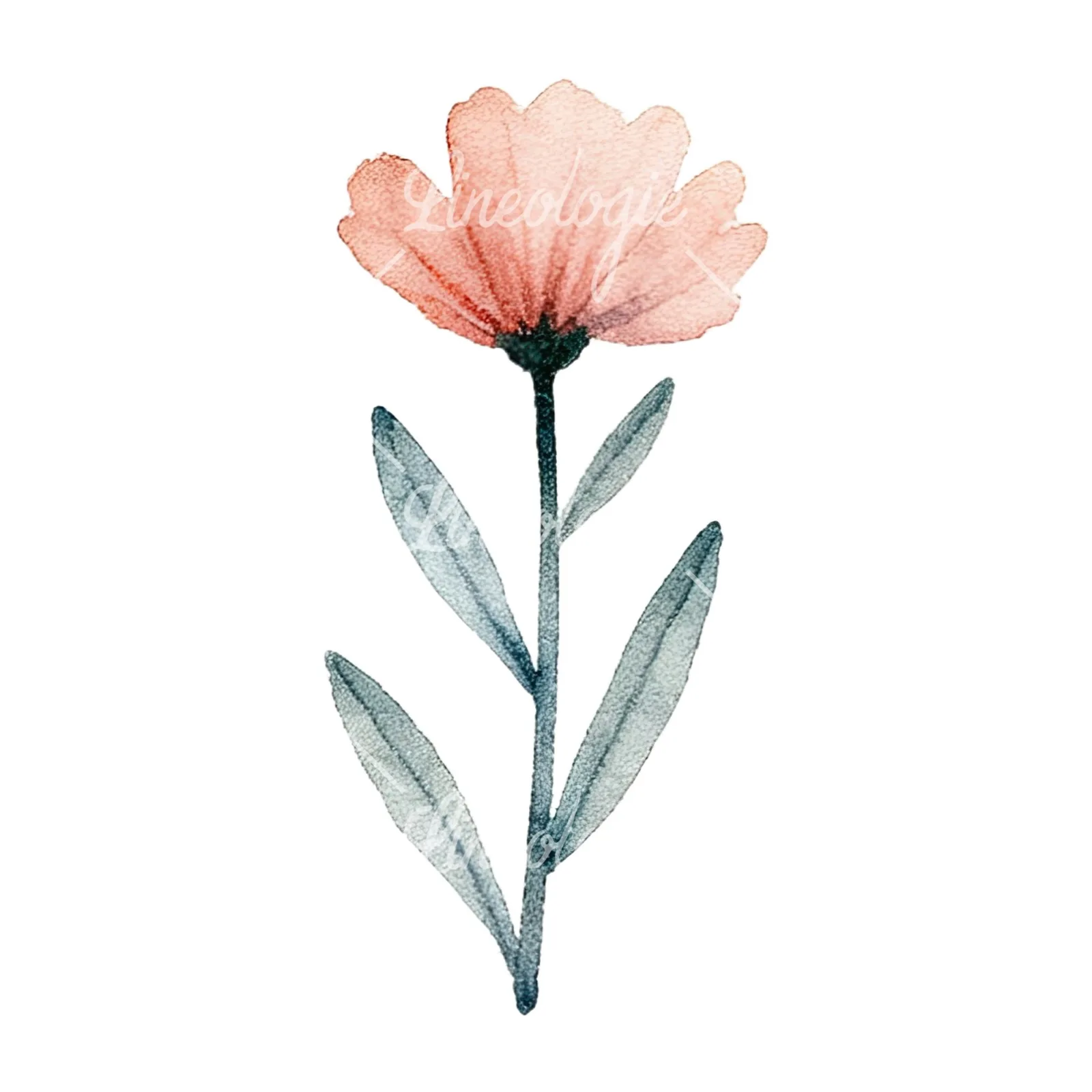 Watercolor summer meadow flower mix clipart 3 of 20 on a white background (JPG)
