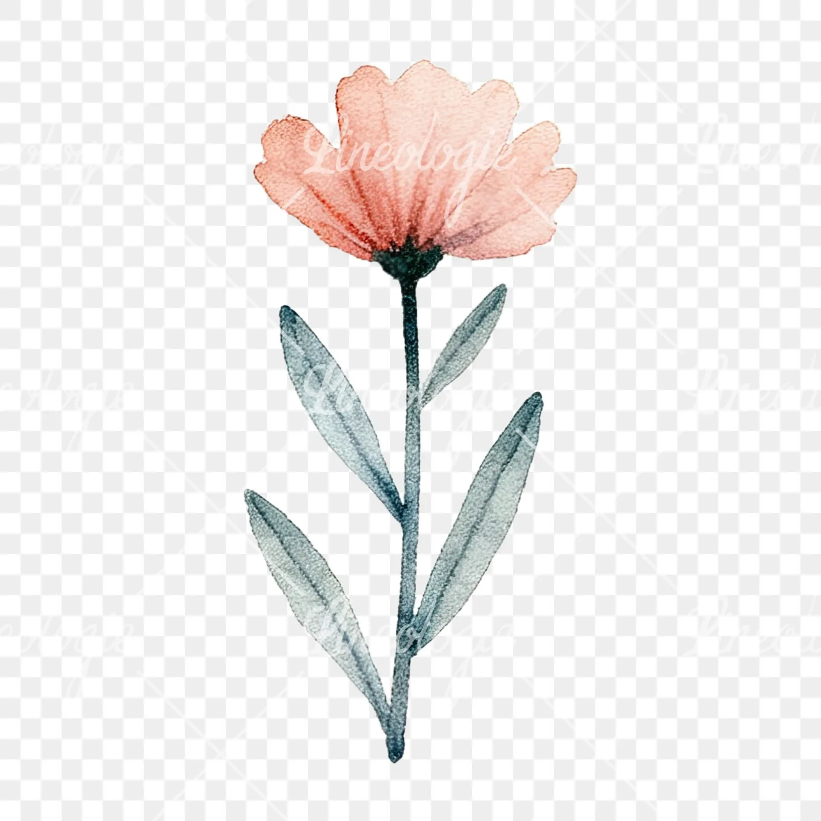 Watercolor summer meadow flower mix clipart 3 of 20 on a transparent background (PNG)