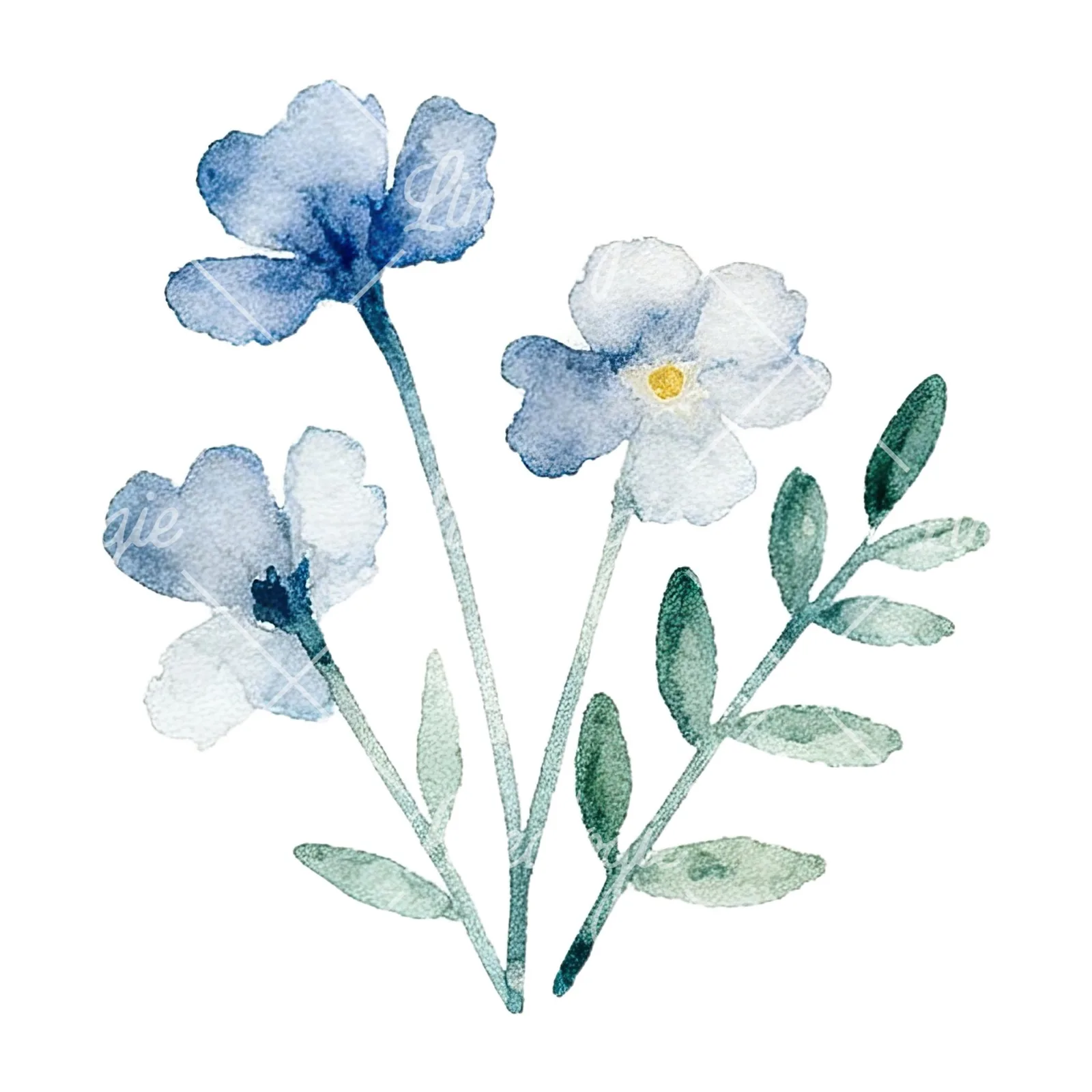 Watercolor summer meadow flower mix clipart 5 of 20 on a white background (JPG)