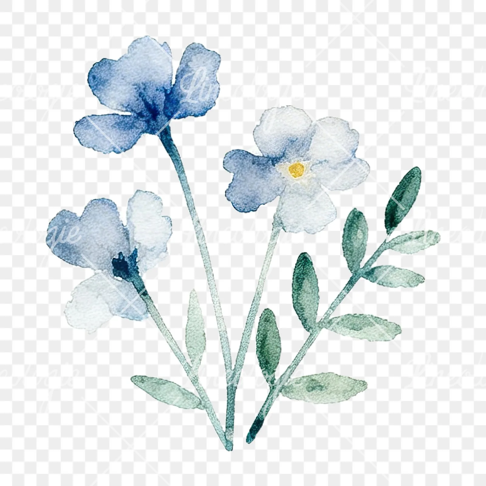 Watercolor summer meadow flower mix clipart 5 of 20 on a transparent background (PNG)