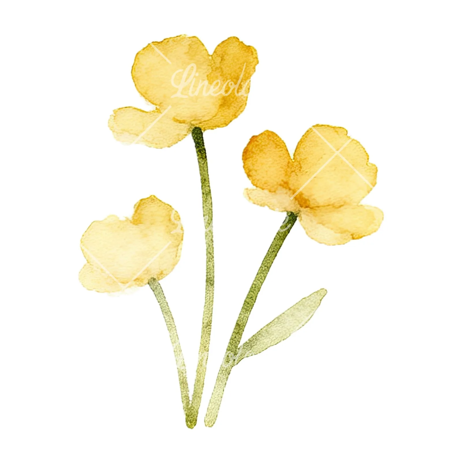 Watercolor summer meadow flower mix clipart 8 of 20 on a white background (JPG)