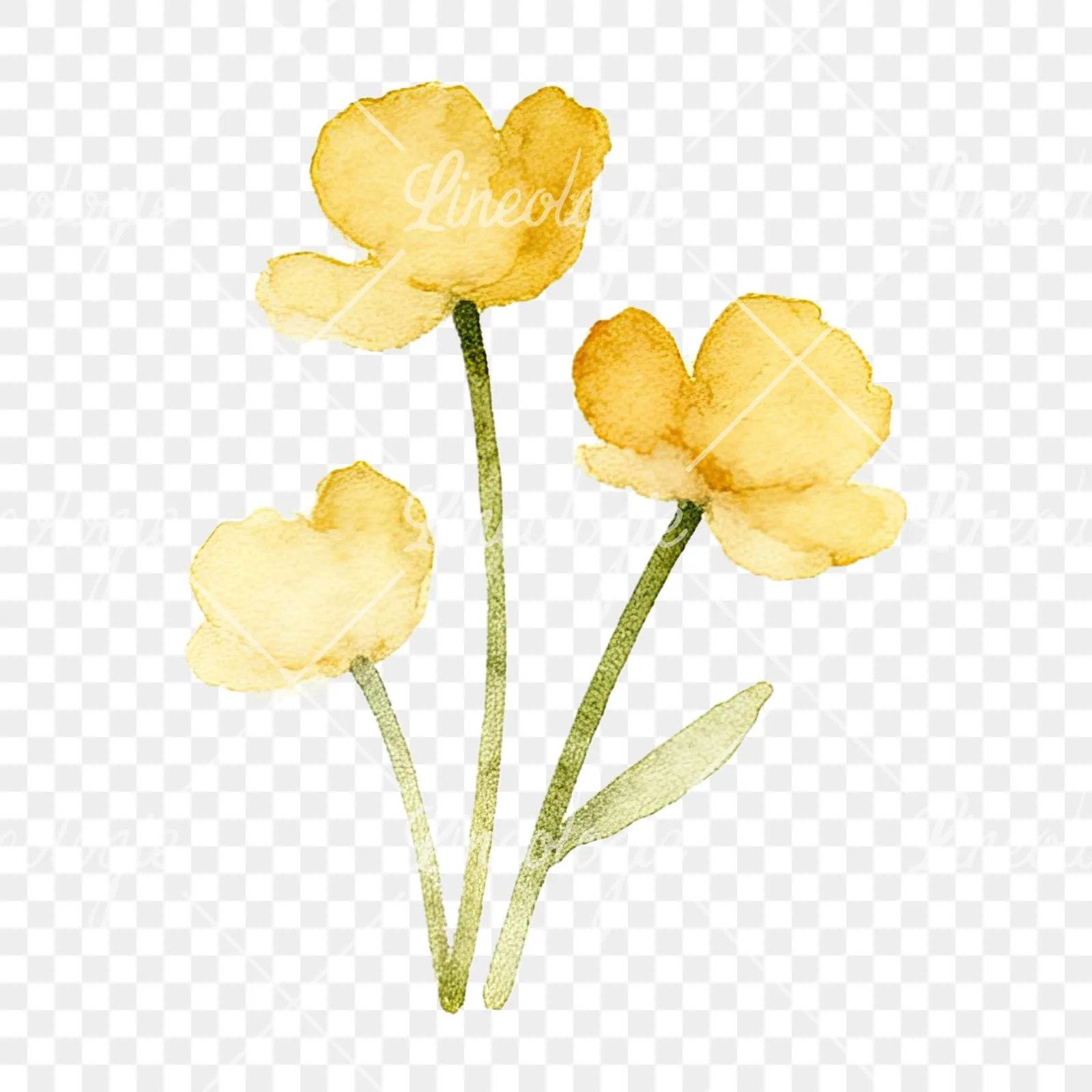Watercolor summer meadow flower mix clipart 8 of 20 on a transparent background (PNG)