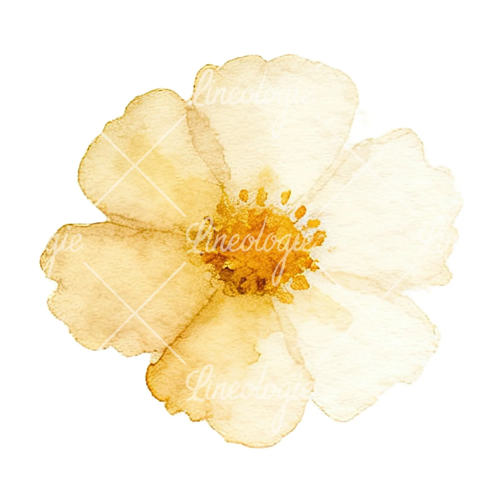 Watercolor summer meadow flower mix clipart 13 of 20 on a white background (JPG)