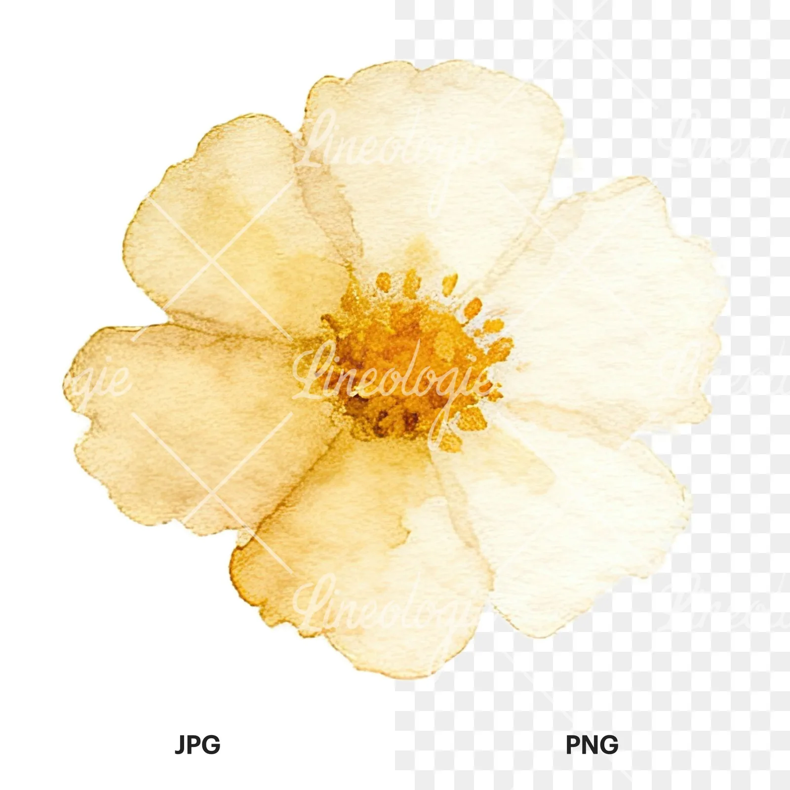 Watercolor summer meadow flower mix clipart 13 of 20, as a JPG on white and a transparent PNG