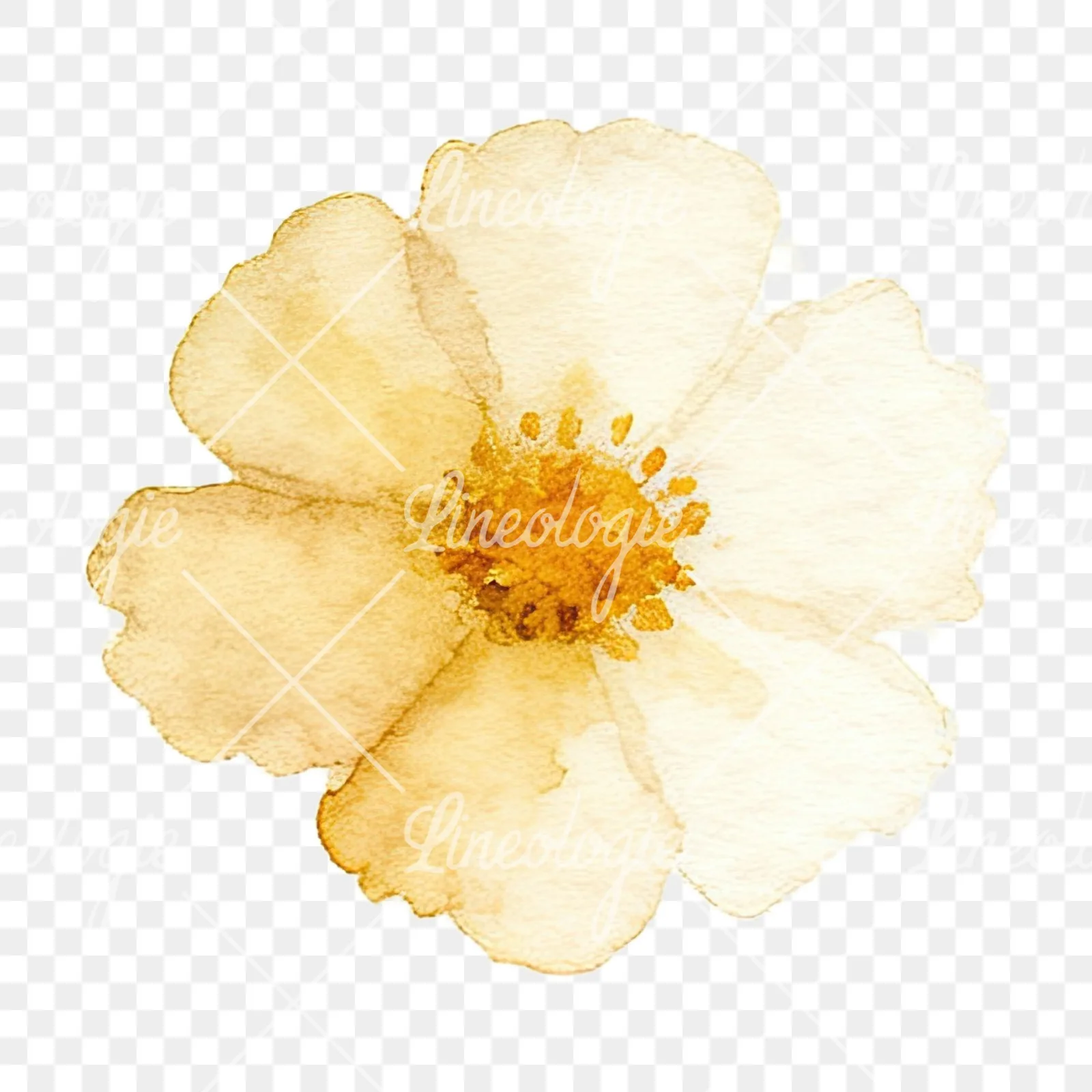 Watercolor summer meadow flower mix clipart 13 of 20 on a transparent background (PNG)