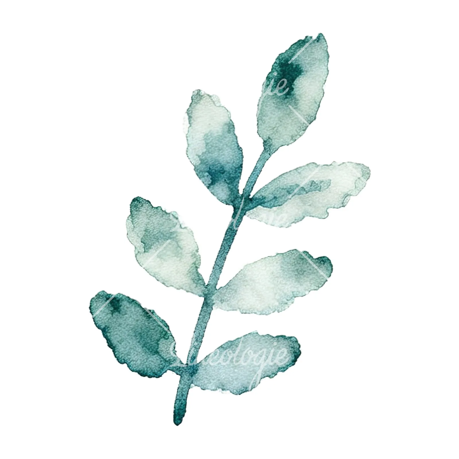 Watercolor summer meadow flower mix clipart 14 of 20 on a white background (JPG)