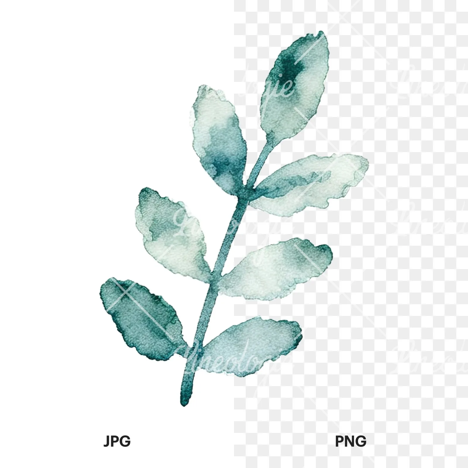 Watercolor summer meadow flower mix clipart 14 of 20, as a JPG on white and a transparent PNG