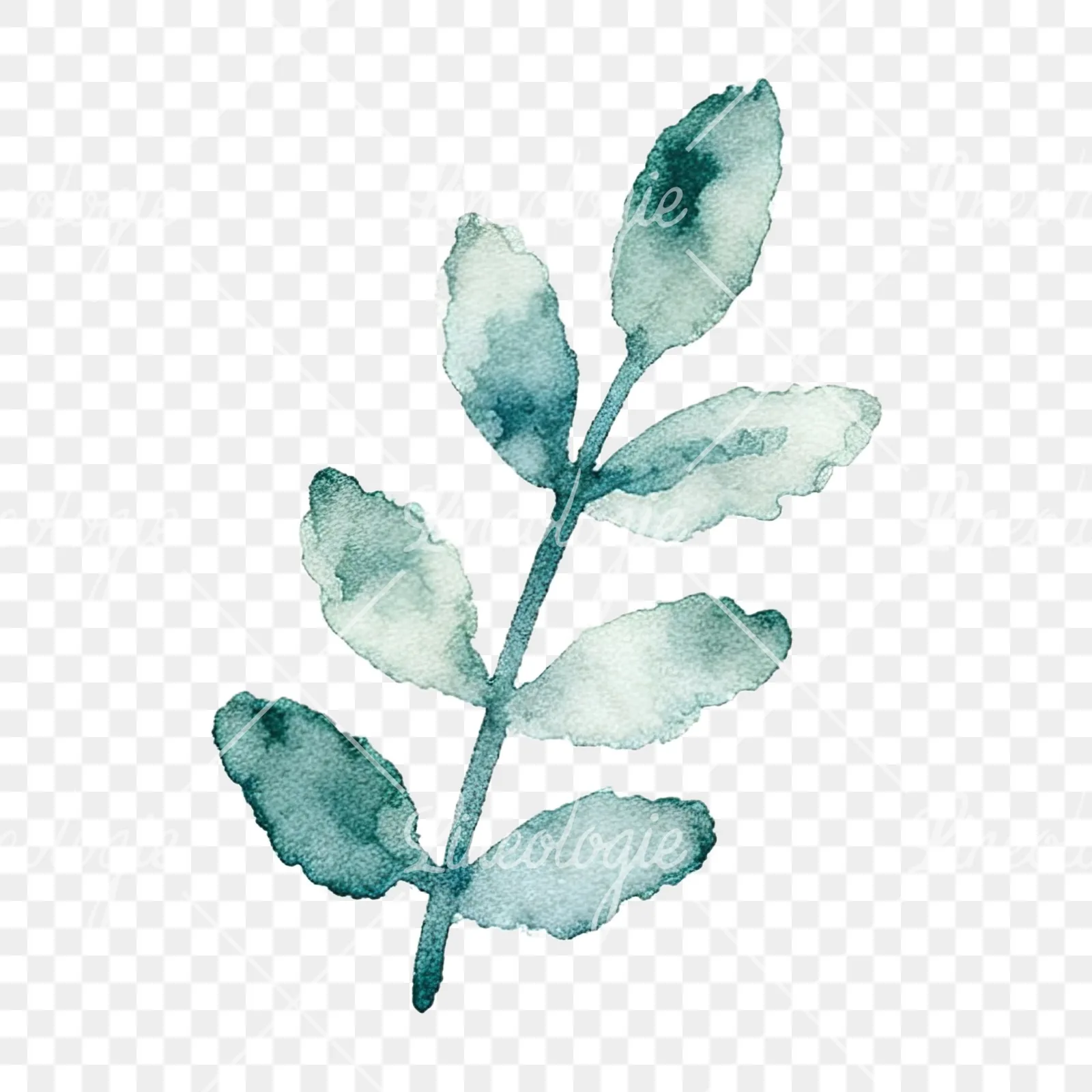 Watercolor summer meadow flower mix clipart 14 of 20 on a transparent background (PNG)