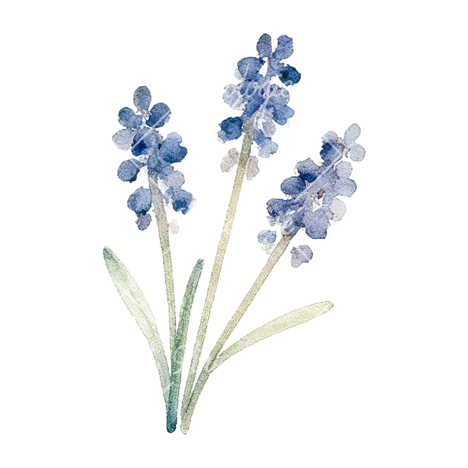 Watercolor summer meadow flower mix clipart 19 of 20 on a white background (JPG)