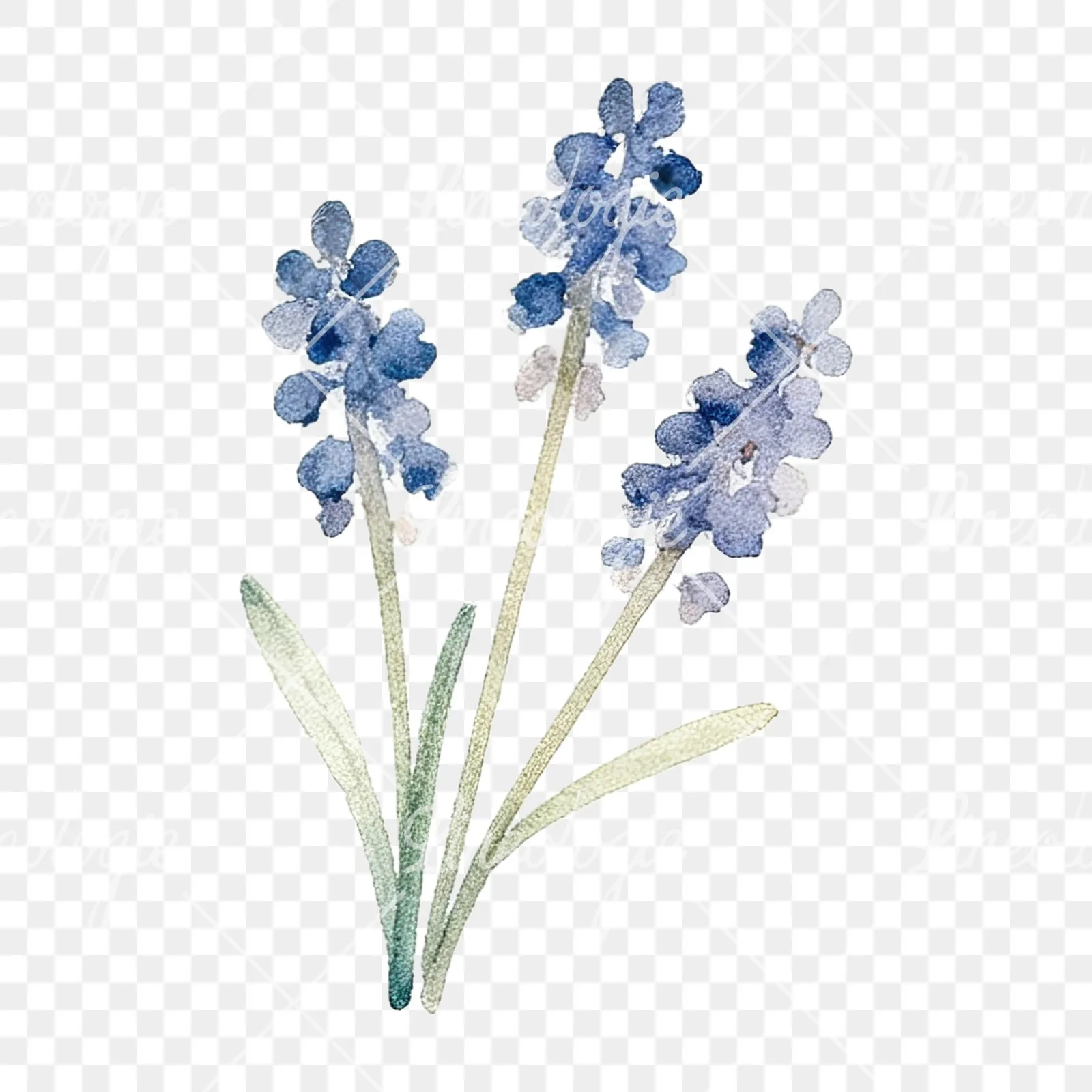 Watercolor summer meadow flower mix clipart 19 of 20 on a transparent background (PNG)