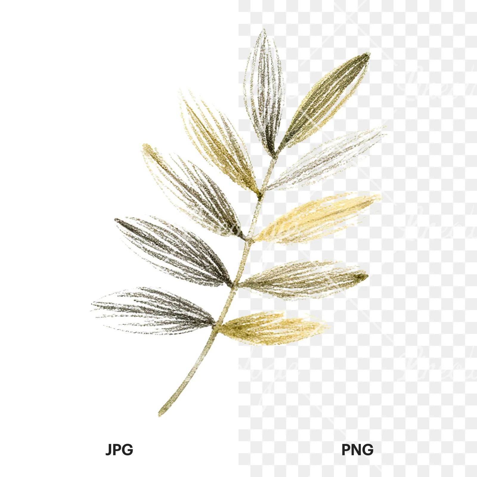 Watercolor autumn leaf with clusters clipart 9 of 16, as a JPG on white and a transparent PNG