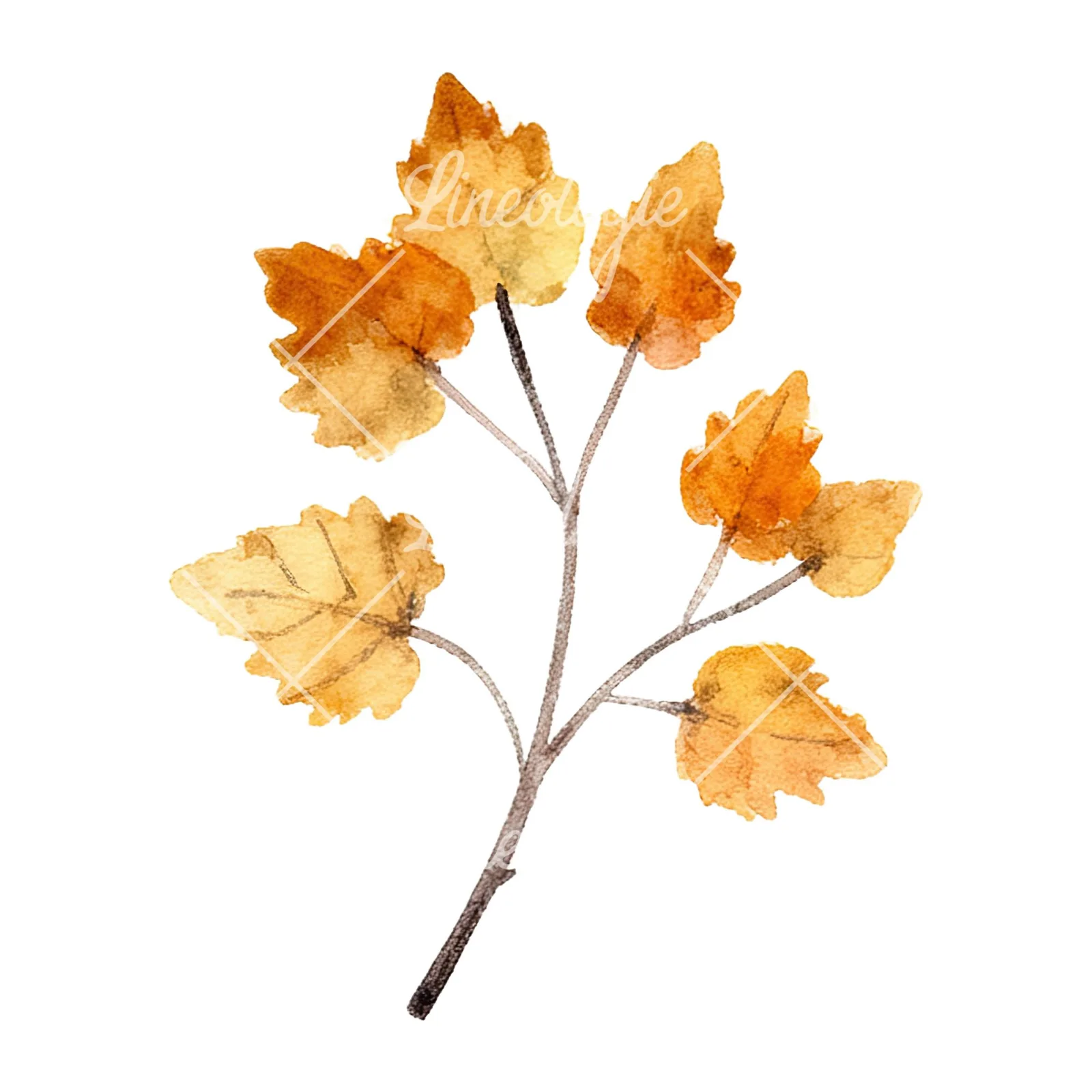 Watercolor autumn leaf with clusters clipart 11 of 16 on a white background (JPG)