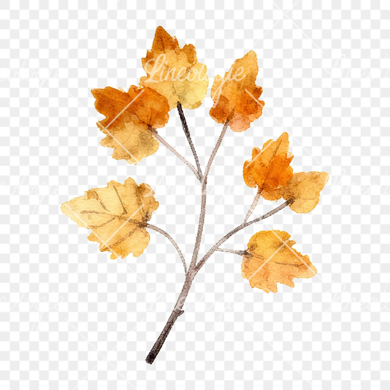 Watercolor autumn leaf with clusters clipart 11 of 16 on a transparent background (PNG)
