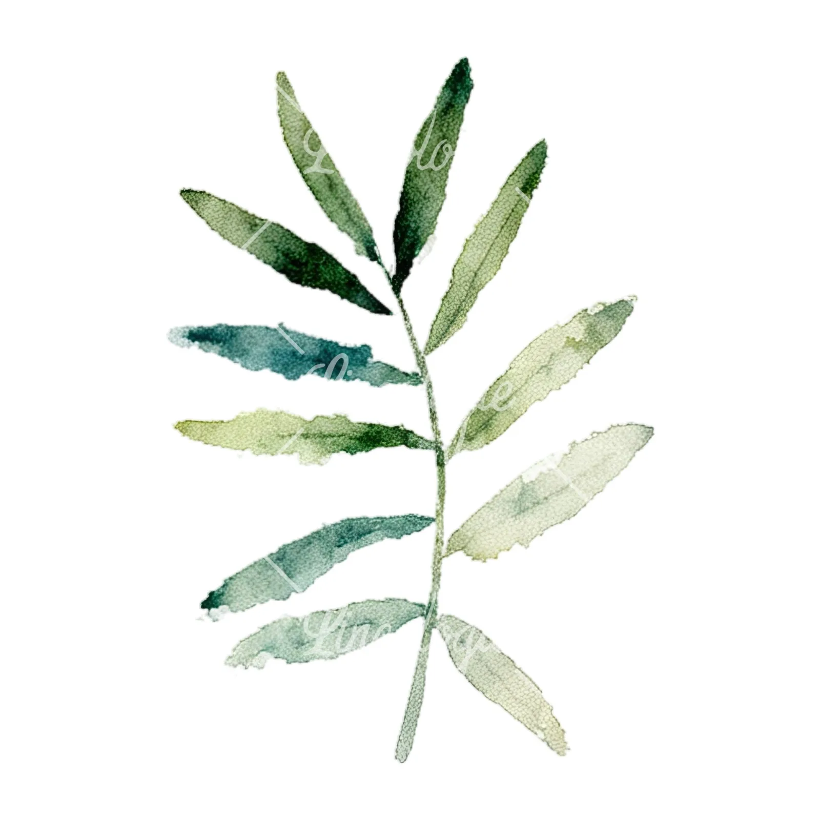 Watercolor summer meadow flower with cornflower clipart 5 of 16 on a white background (JPG)