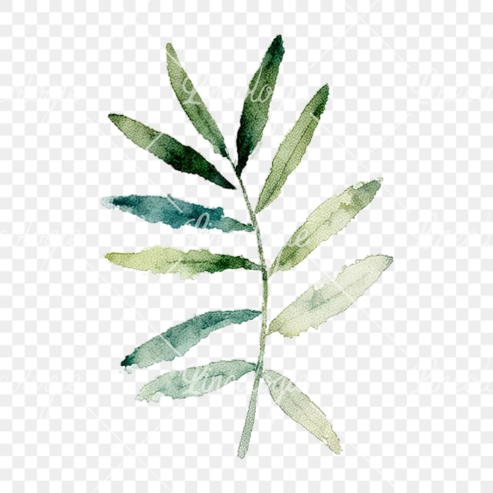 Watercolor summer meadow flower with cornflower clipart 5 of 16 on a transparent background (PNG)