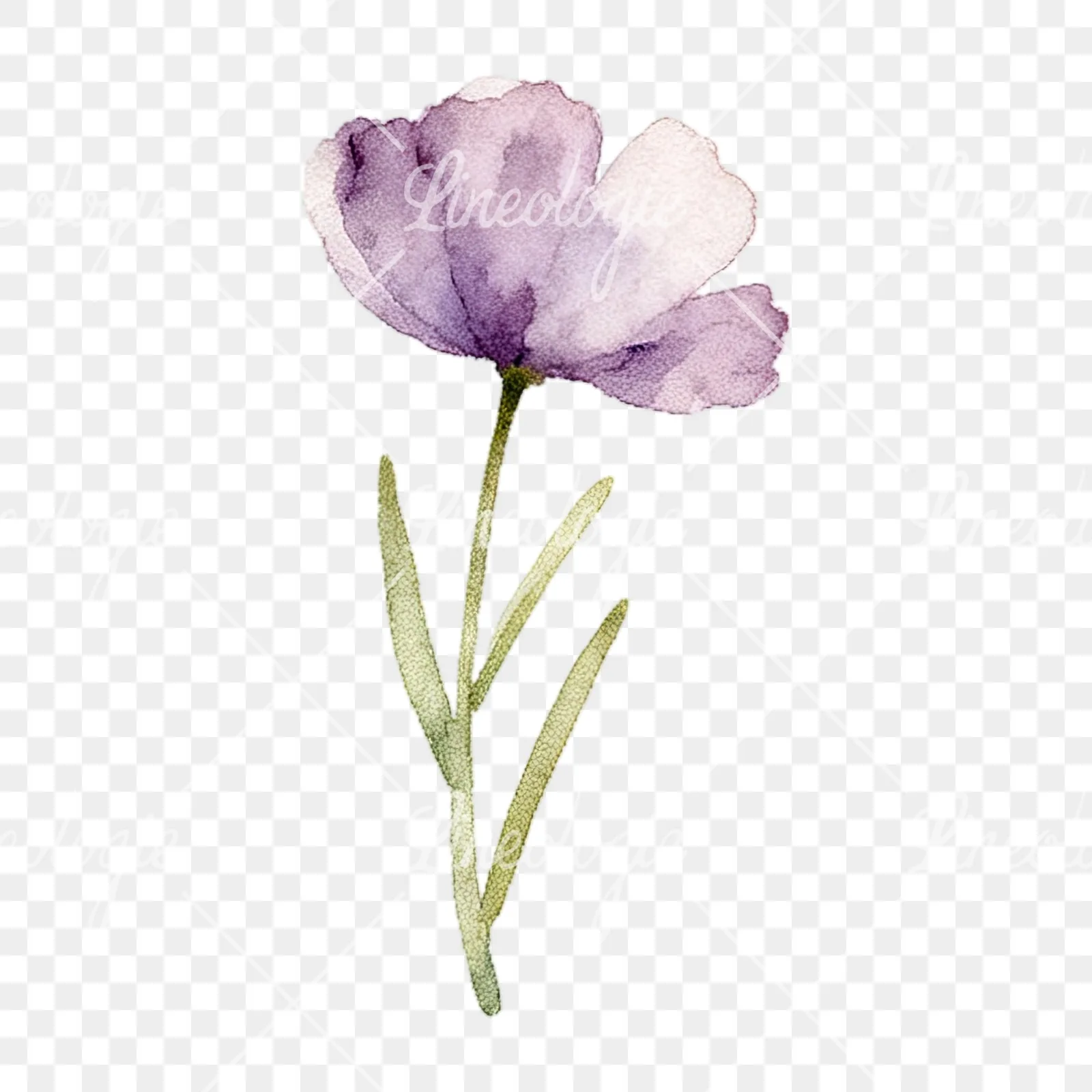 Watercolor summer meadow flower with cornflower clipart 11 of 16 on a transparent background (PNG)