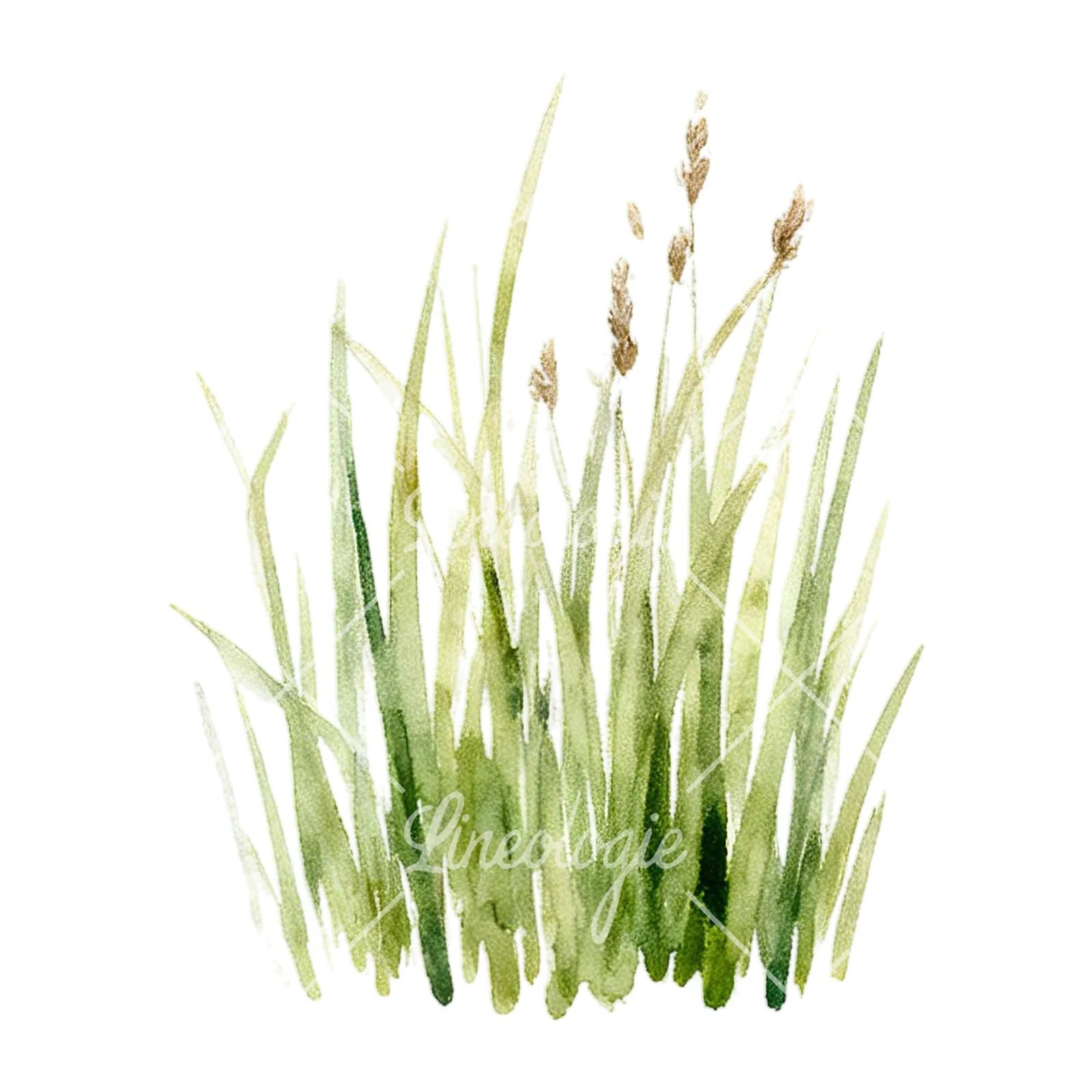 Watercolor summer meadow mix with insects clipart 1 of 16 on a white background (JPG)