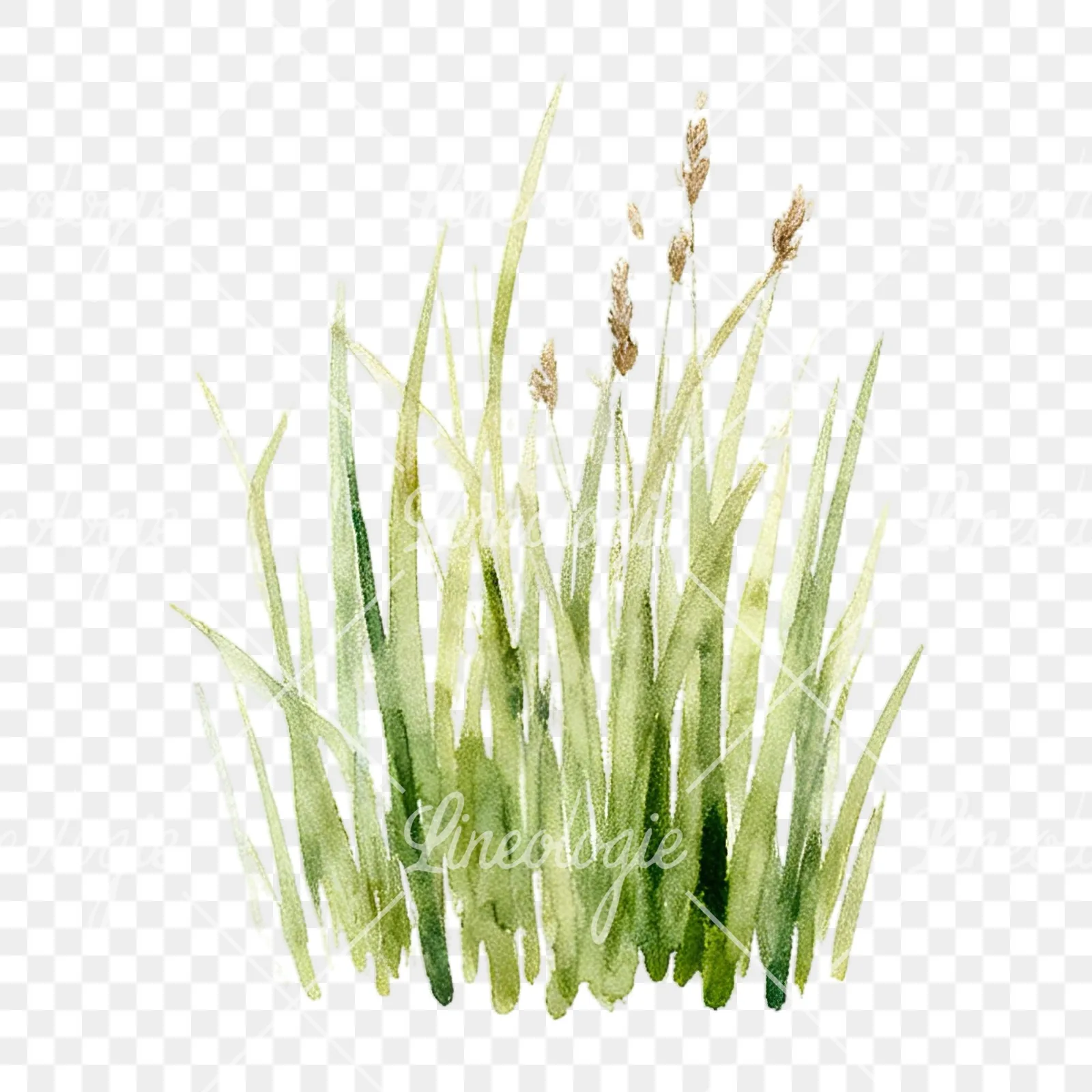 Watercolor summer meadow mix with insects clipart 1 of 16 on a transparent background (PNG)
