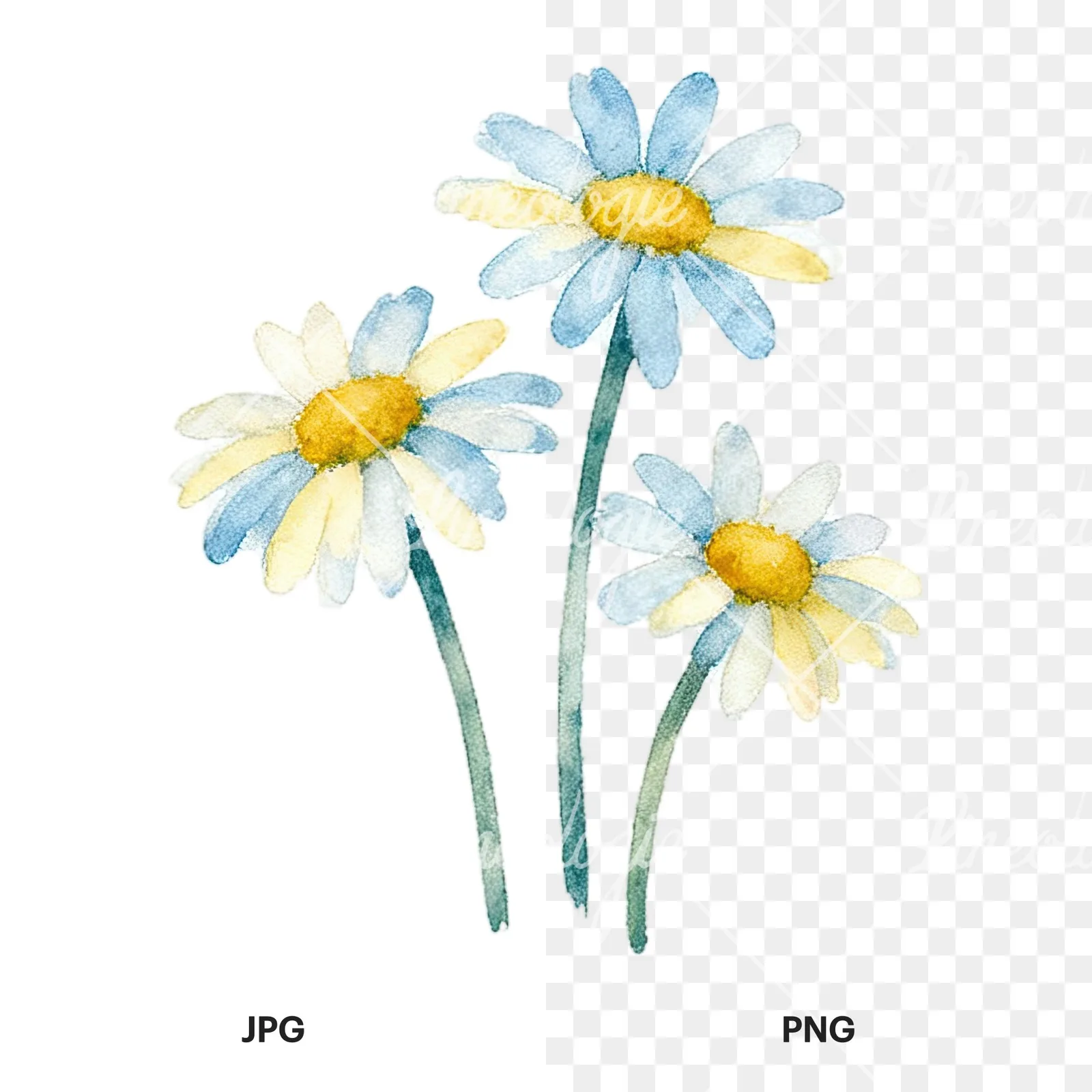 Watercolor summer meadow mix with insects clipart 10 of 16, as a JPG on white and a transparent PNG