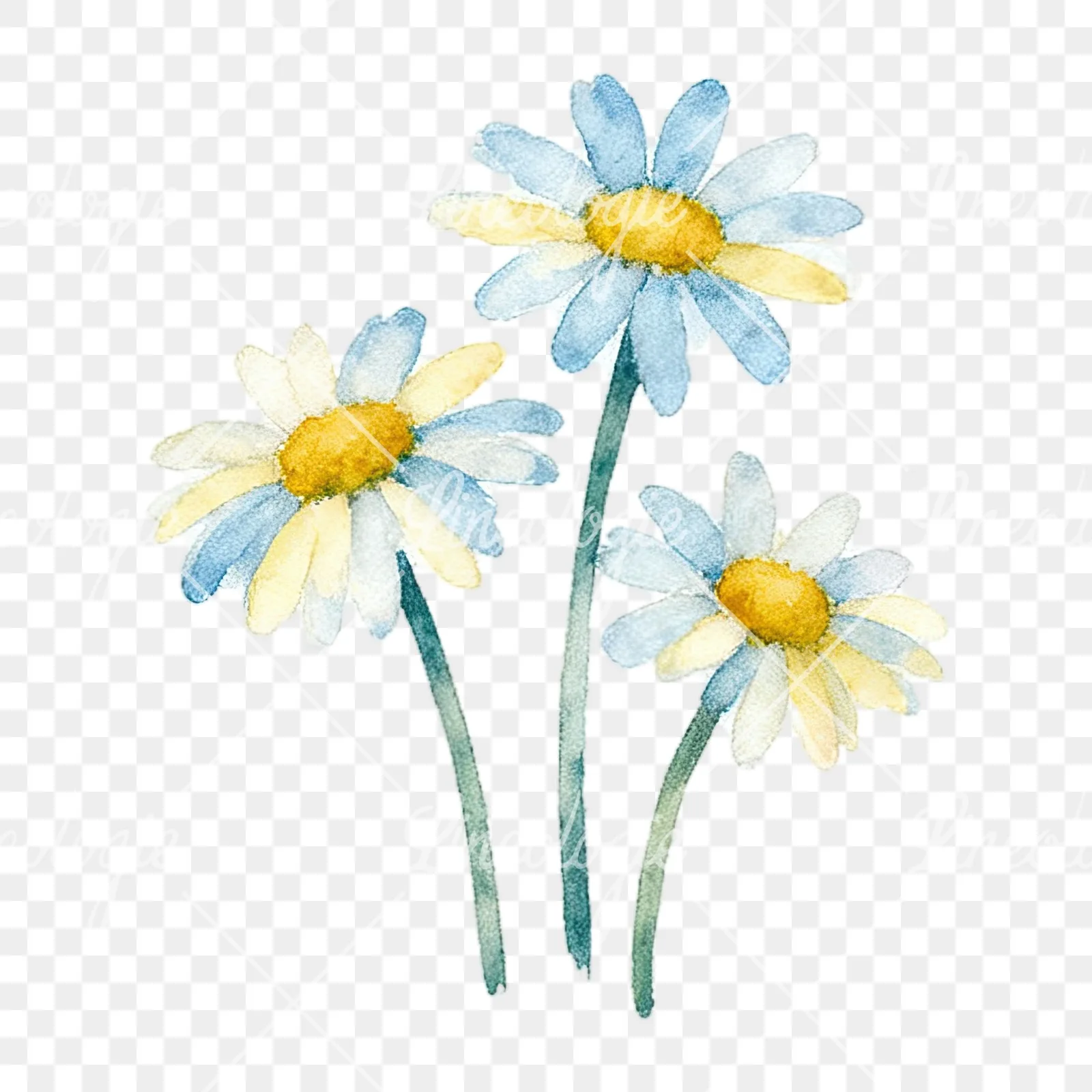 Watercolor summer meadow mix with insects clipart 10 of 16 on a transparent background (PNG)