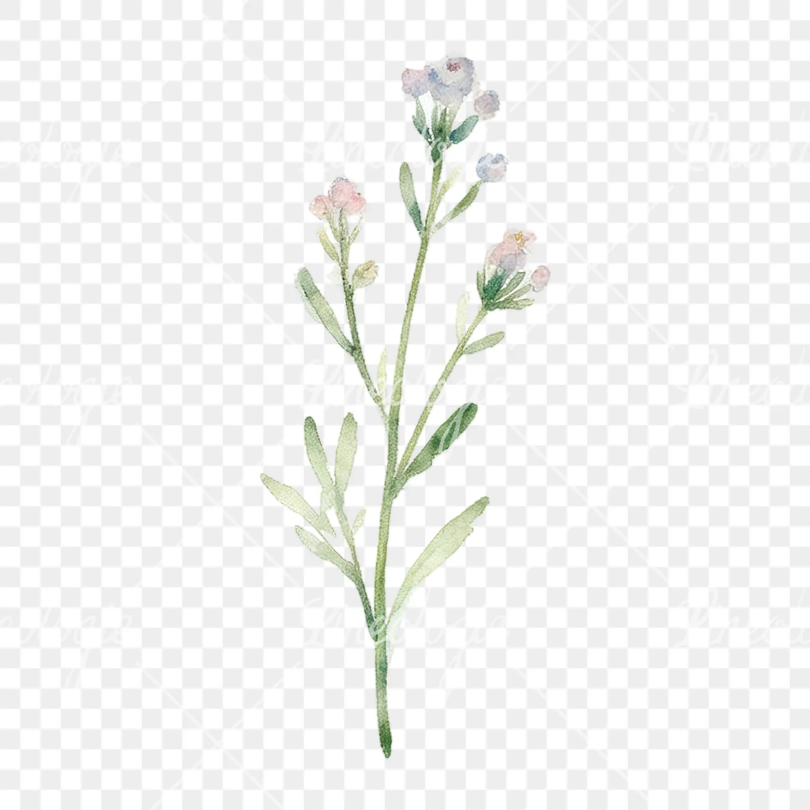 Watercolor summer meadow mix with insects clipart 15 of 16 on a transparent background (PNG)