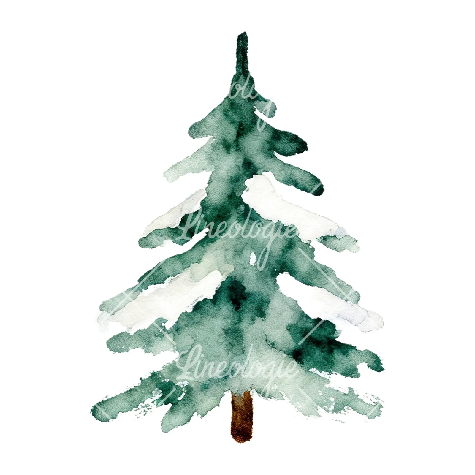 Watercolor winter pine tree clipart 16 of 16 on a white background (JPG)