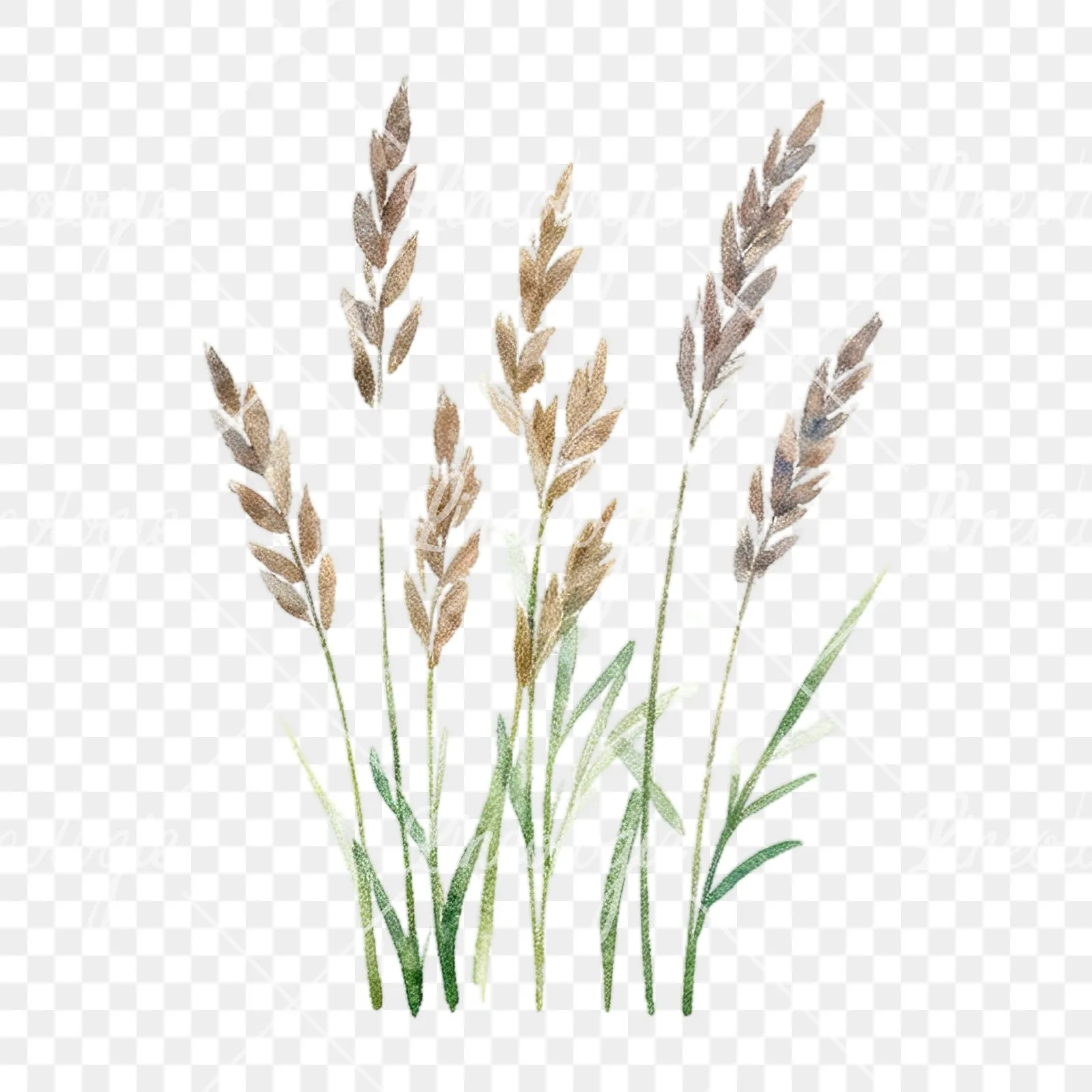 Watercolor summer meadow wildlife clipart 2 of 20 on a transparent background (PNG)