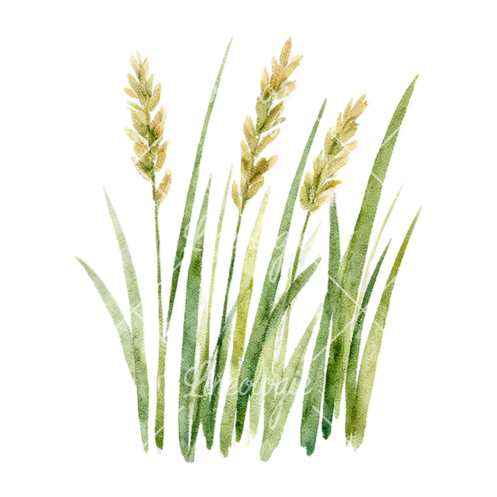 Watercolor summer meadow wildlife clipart 4 of 20 on a white background (JPG)