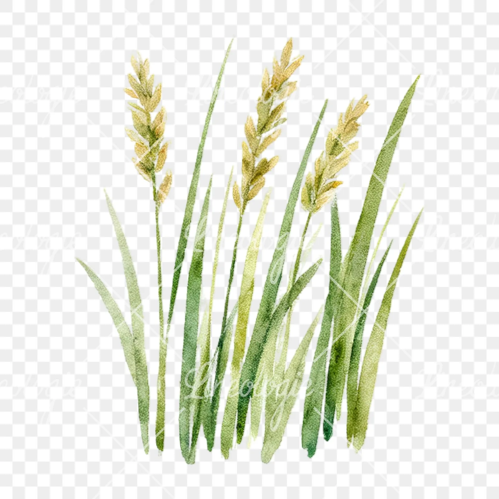 Watercolor summer meadow wildlife clipart 4 of 20 on a transparent background (PNG)