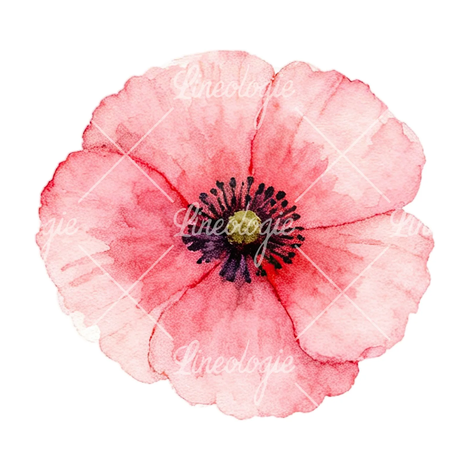 Watercolor summer meadow wildlife clipart 5 of 20 on a white background (JPG)