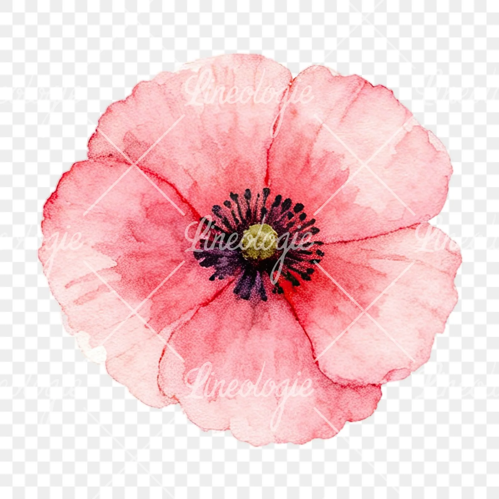 Watercolor summer meadow wildlife clipart 5 of 20 on a transparent background (PNG)