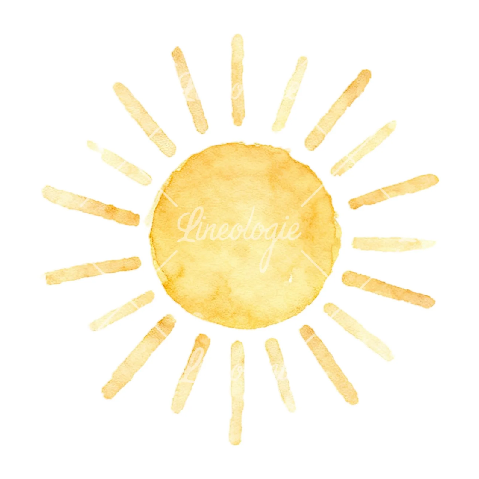 Watercolor summer meadow wildlife clipart 9 of 20 on a white background (JPG)