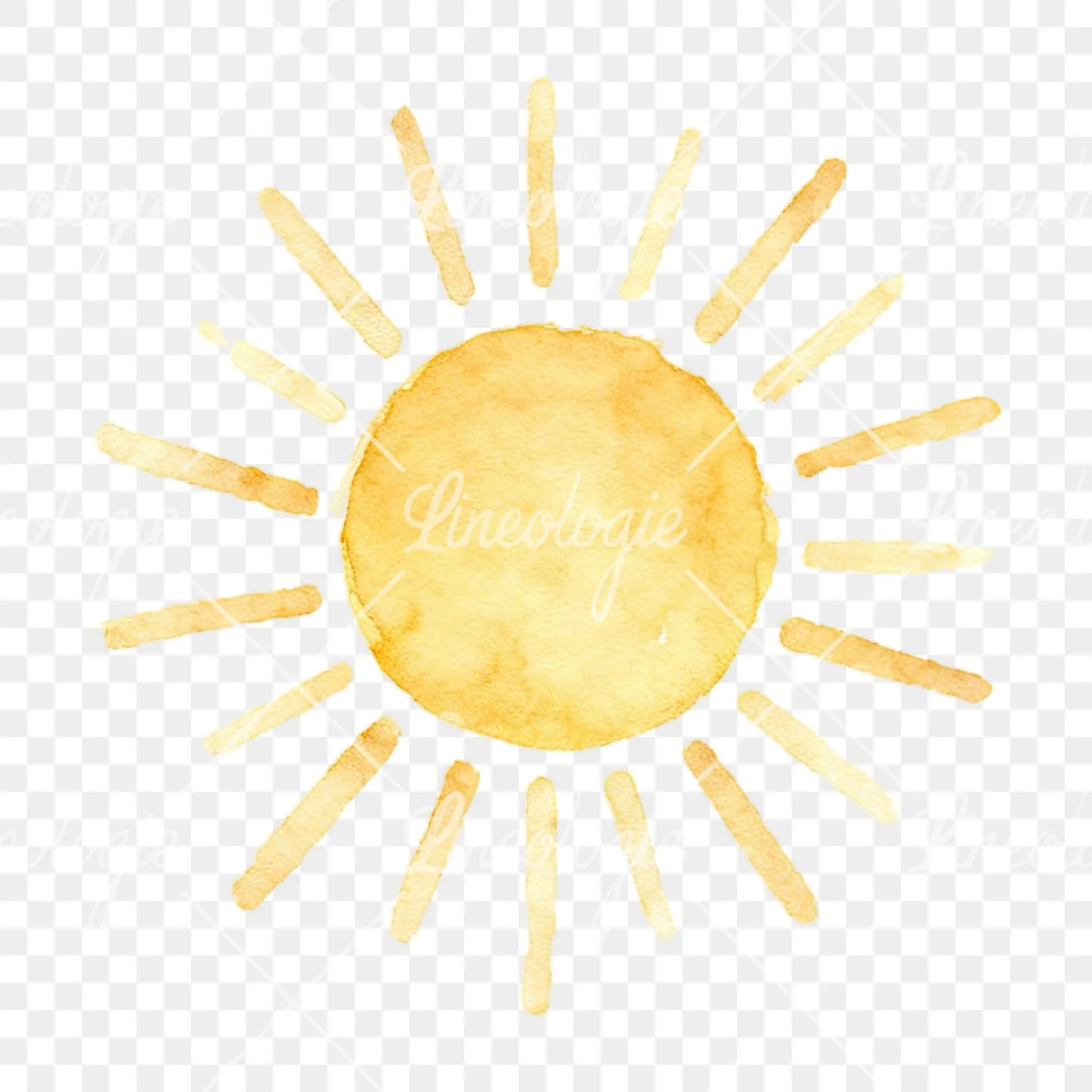 Watercolor summer meadow wildlife clipart 9 of 20 on a transparent background (PNG)