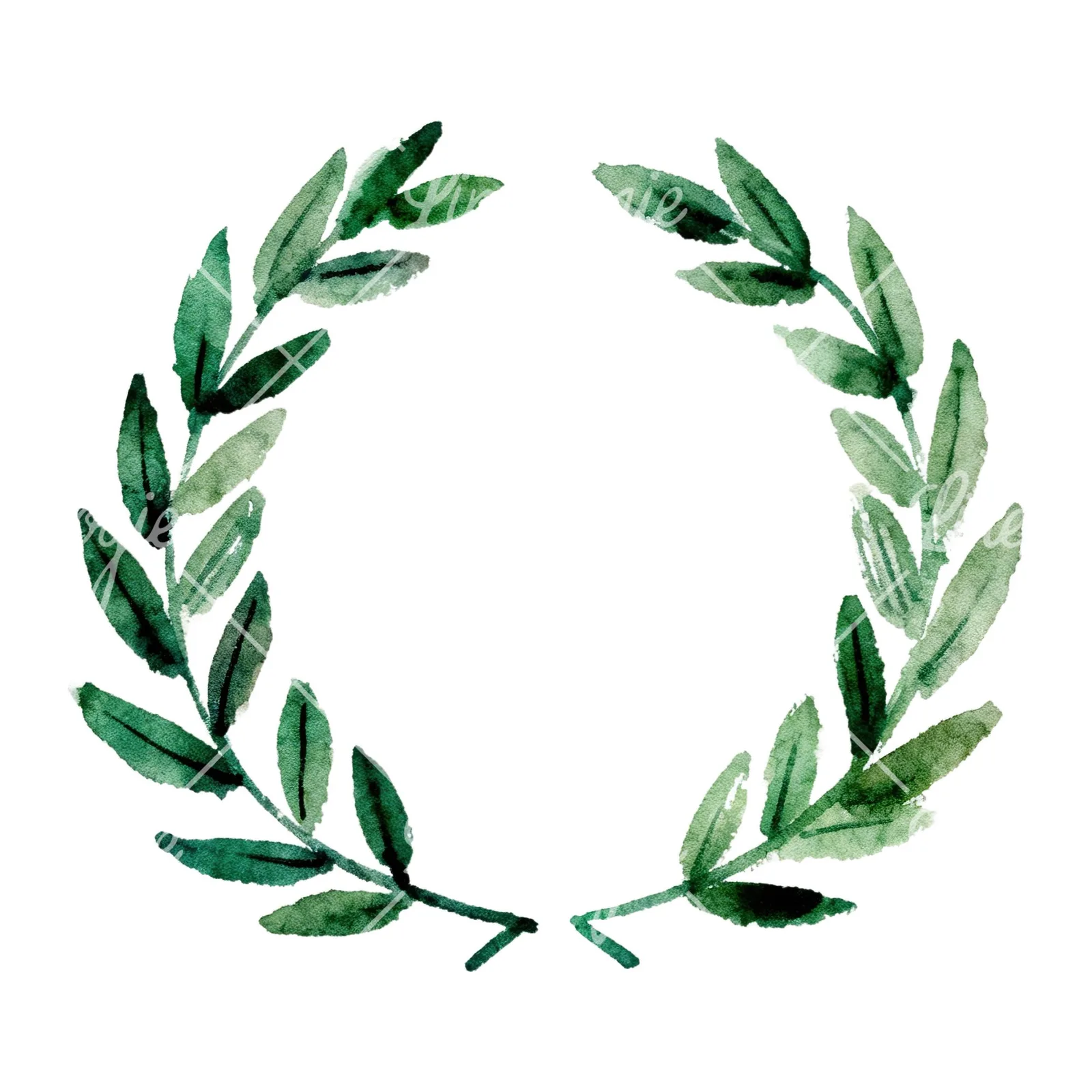 Watercolor green laurel wreath clipart 1 of 6 on a white background (JPG)