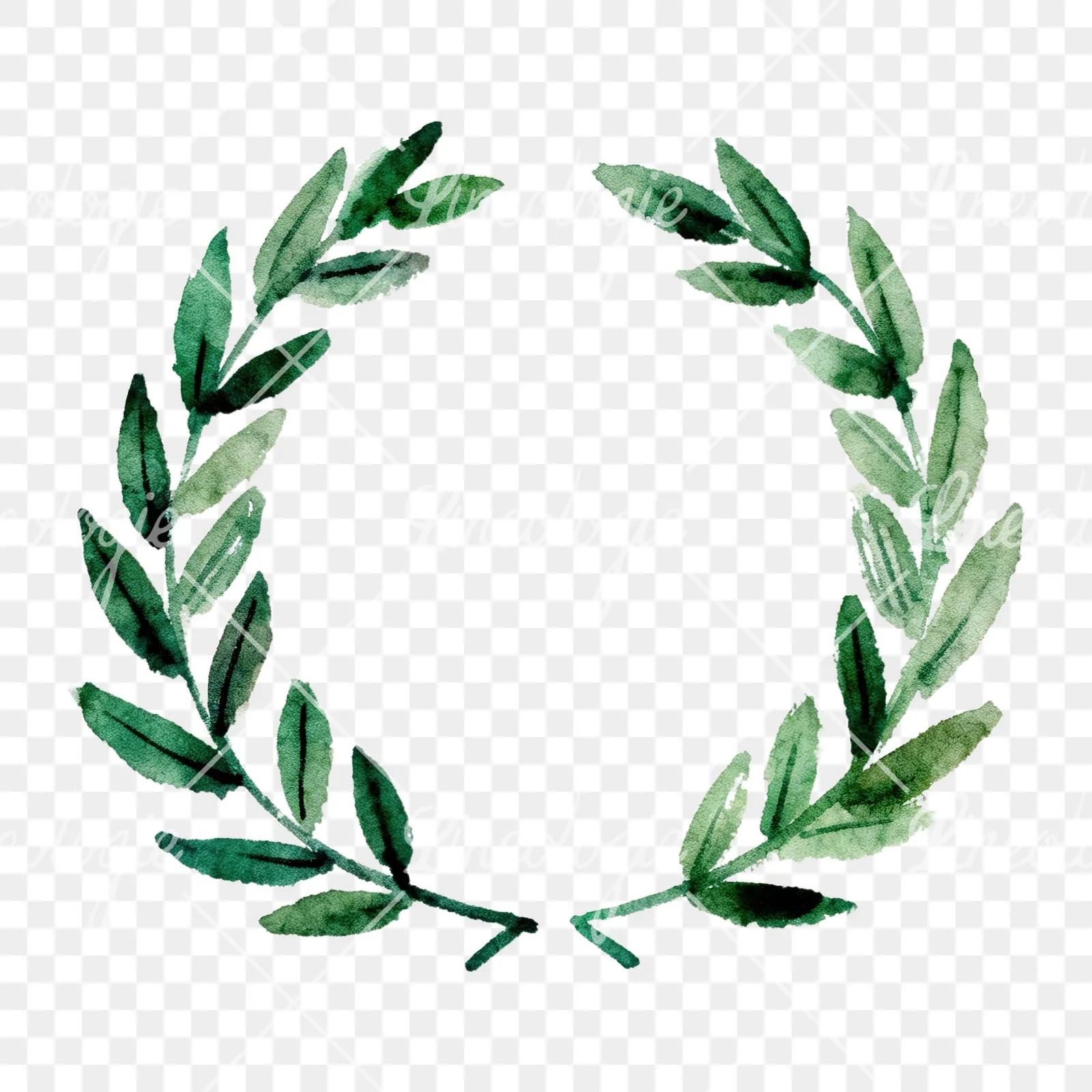 Watercolor green laurel wreath clipart 1 of 6 on a transparent background (PNG)