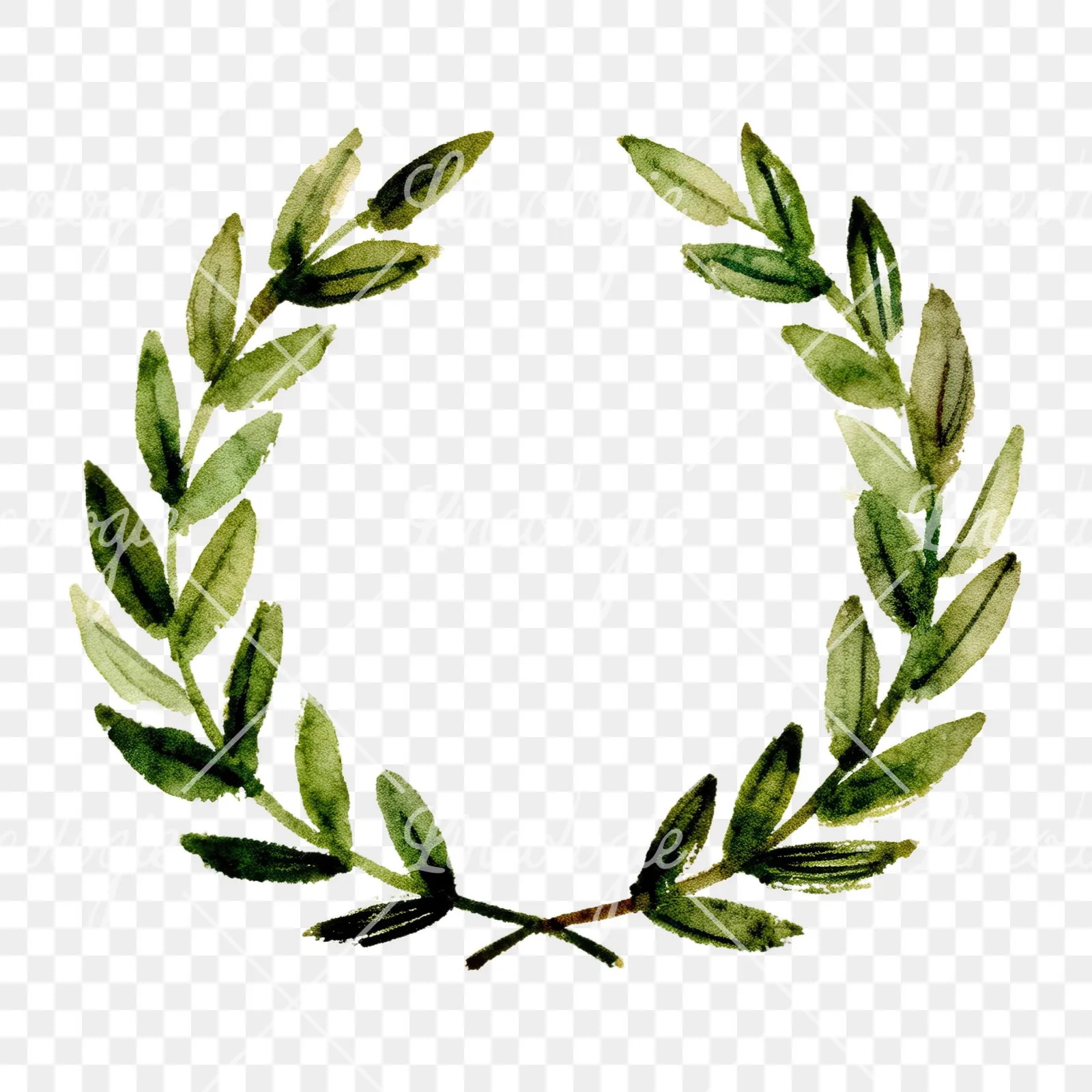 Watercolor green laurel wreath clipart 3 of 6 on a transparent background (PNG)