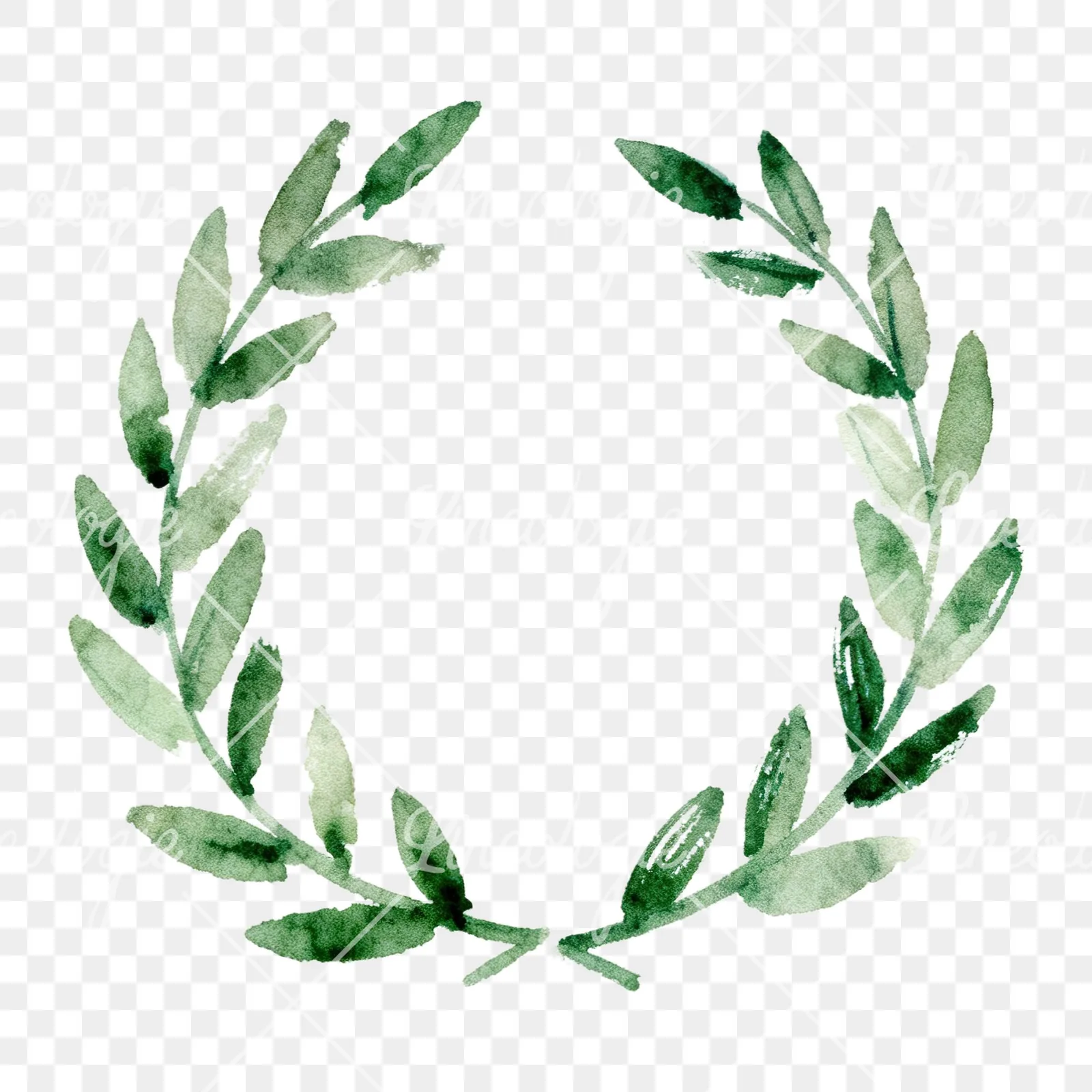 Watercolor green laurel wreath clipart 4 of 6 on a transparent background (PNG)