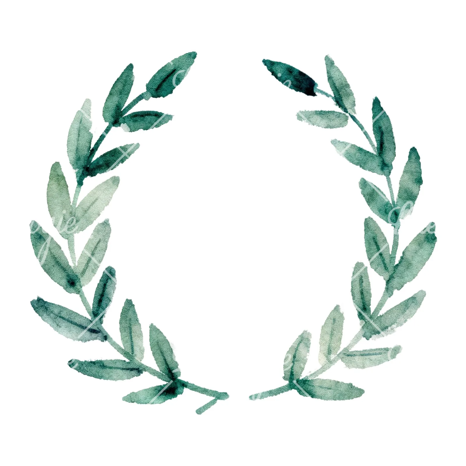 Watercolor green laurel wreath clipart 5 of 6 on a white background (JPG)